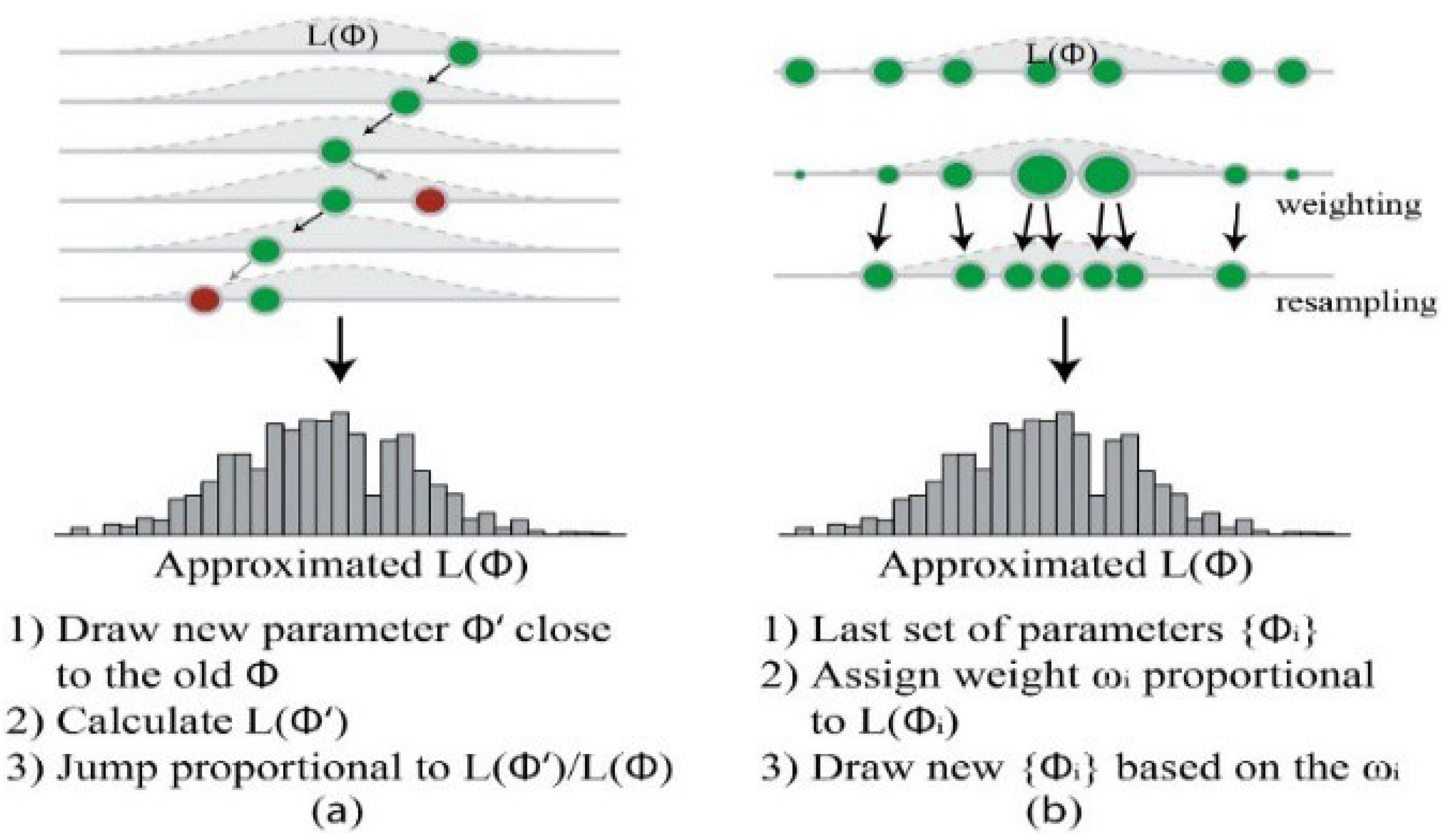 Agronomy 14 01920 g010