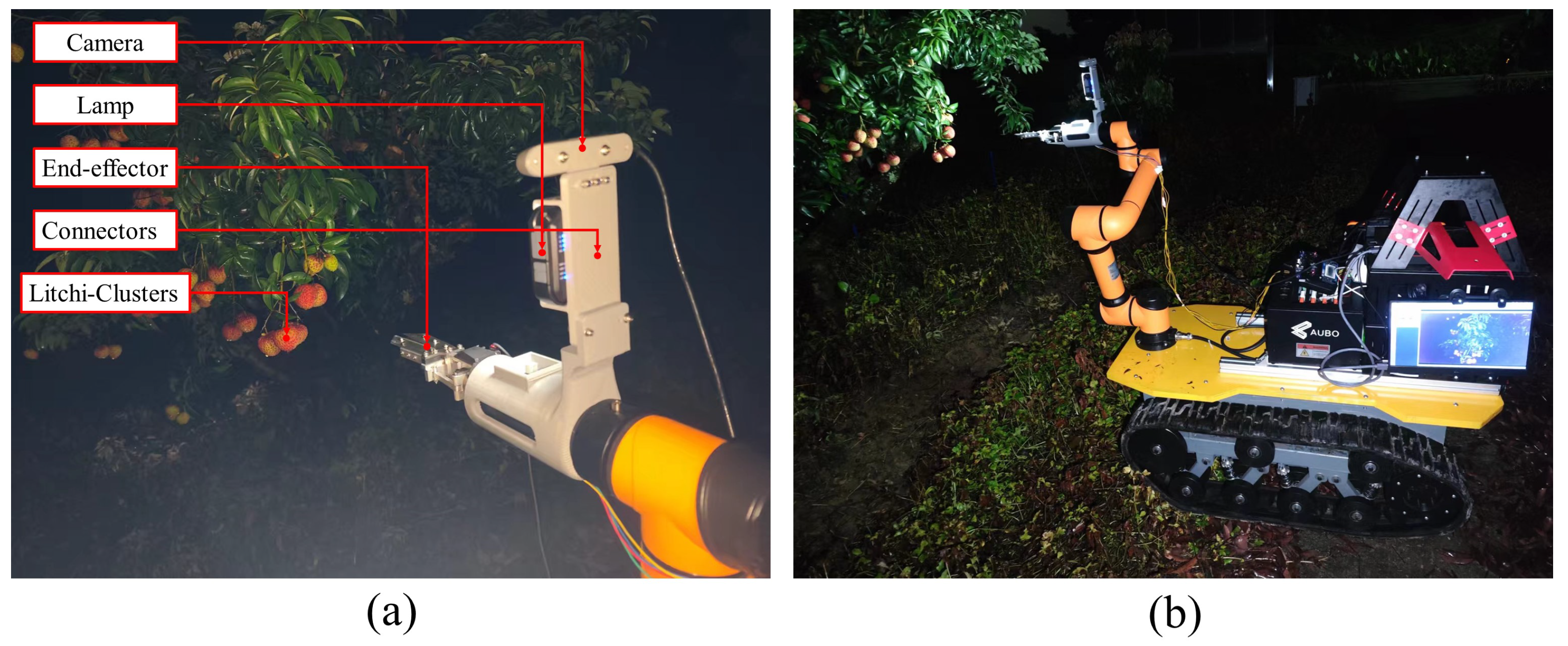 Agronomy 14 01924 g001