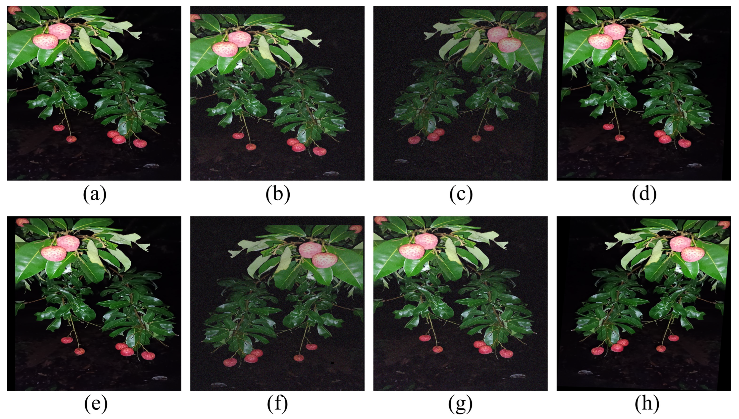 Agronomy 14 01924 g003