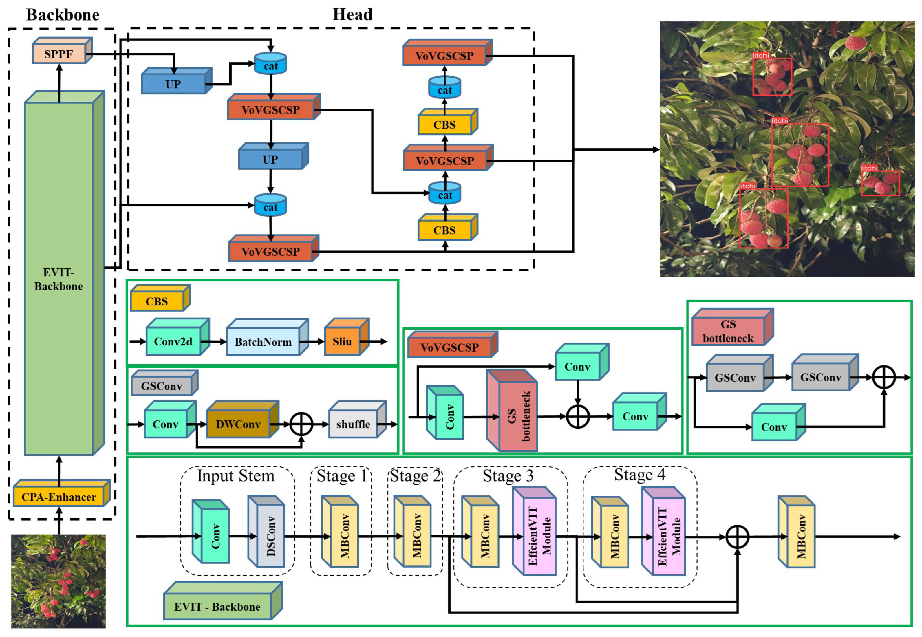 Agronomy 14 01924 g004