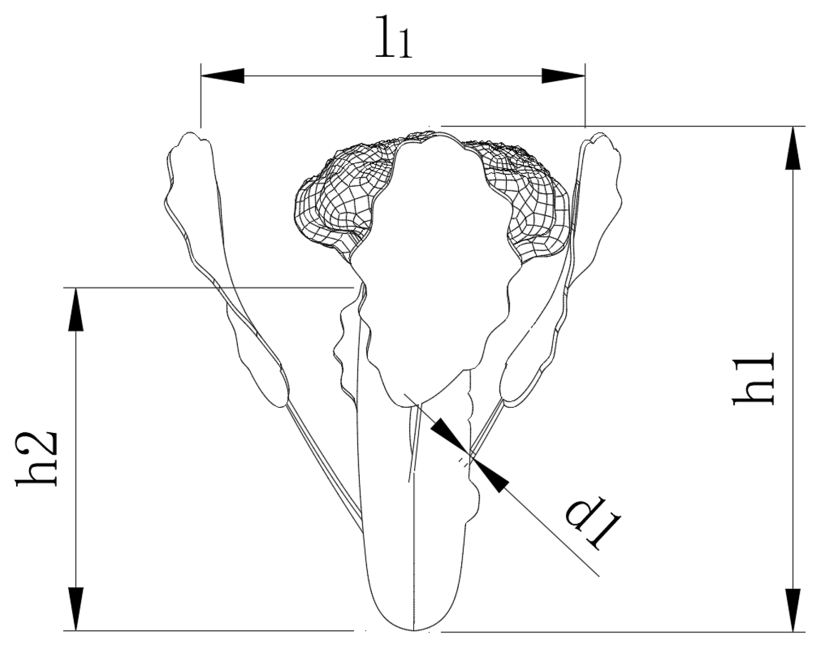 Agronomy 14 01925 g002