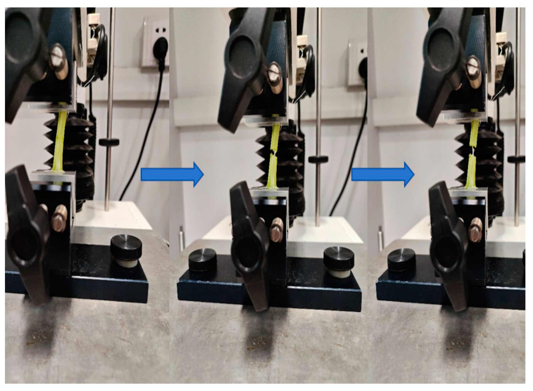 Agronomy 14 01925 g012