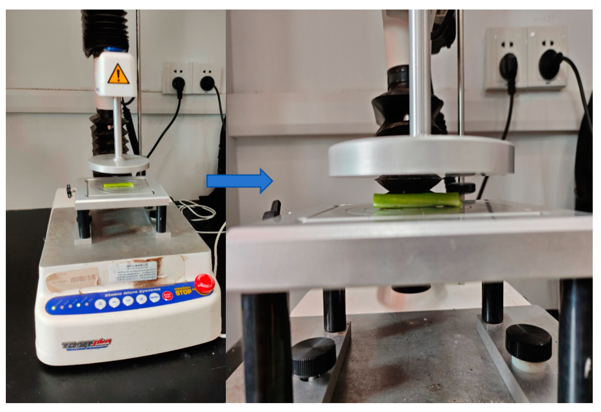 Agronomy 14 01925 g020