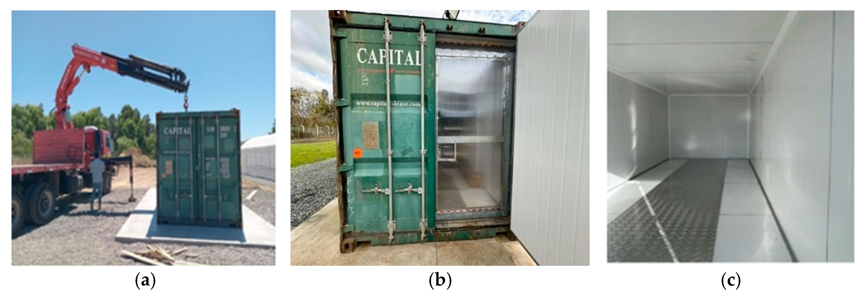 Agronomy 14 01932 g001