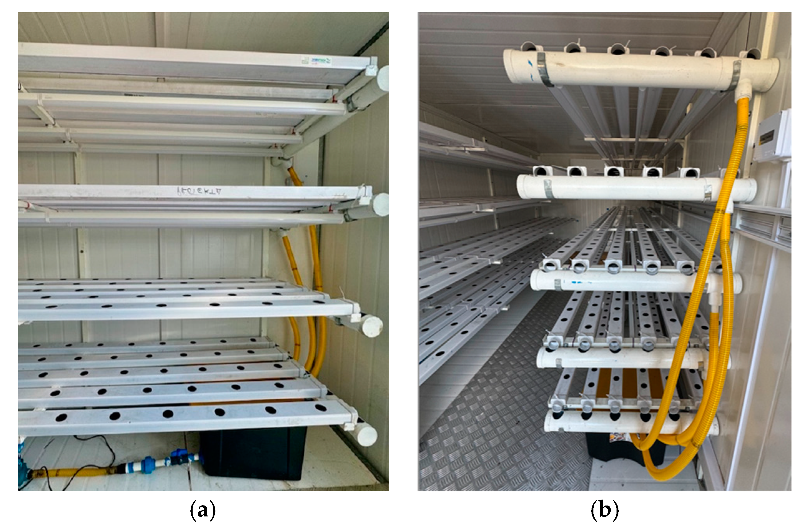 Agronomy 14 01932 g004