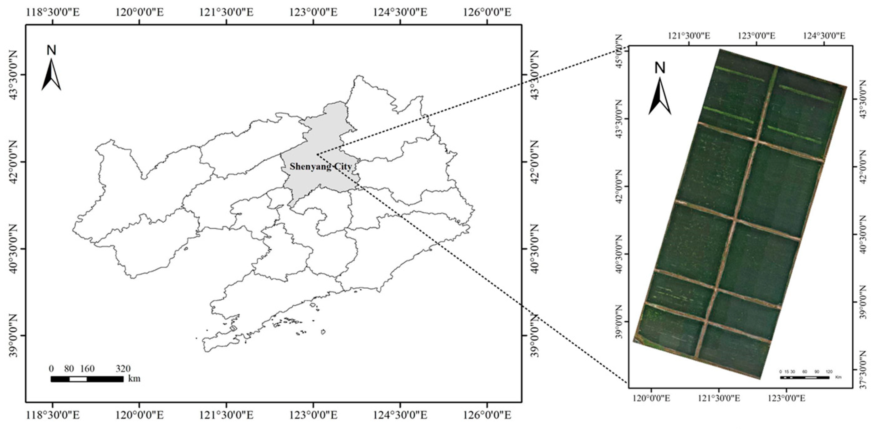 Agronomy 14 01934 g001