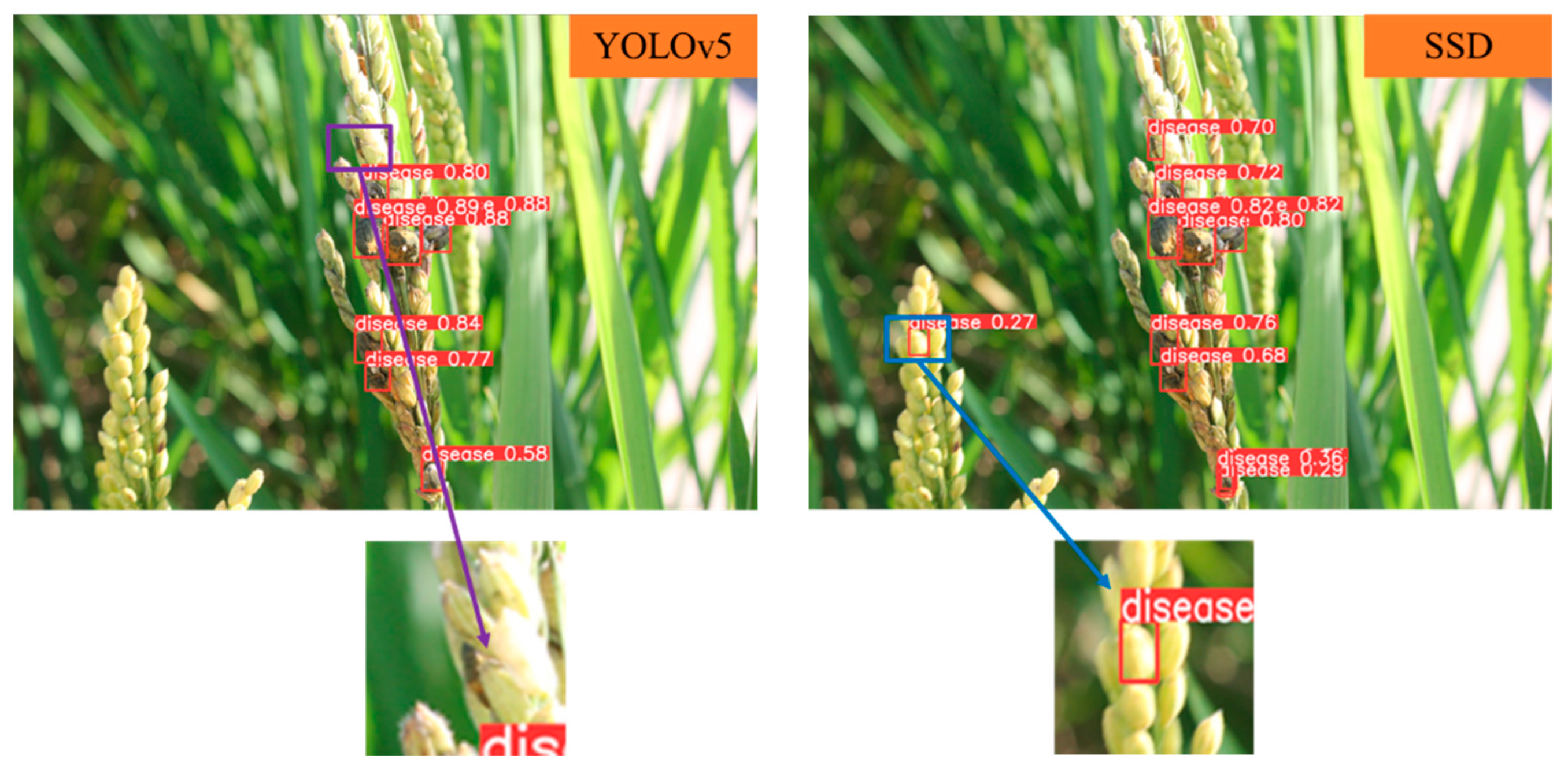 Agronomy 14 01934 g009a