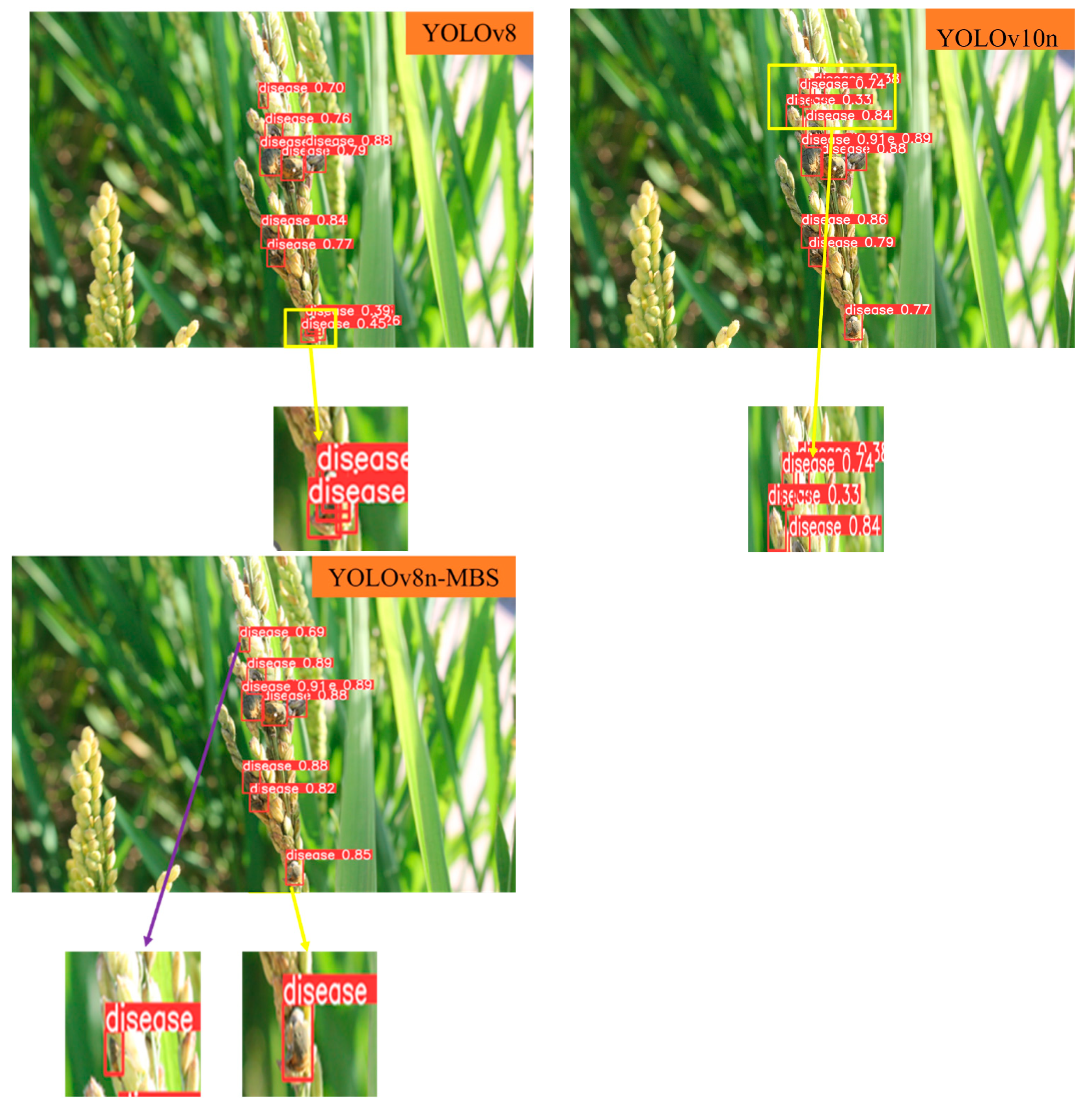 Agronomy 14 01934 g009b