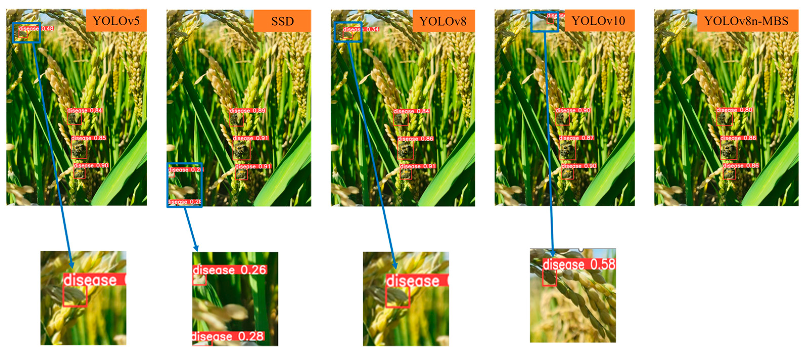 Agronomy 14 01934 g010