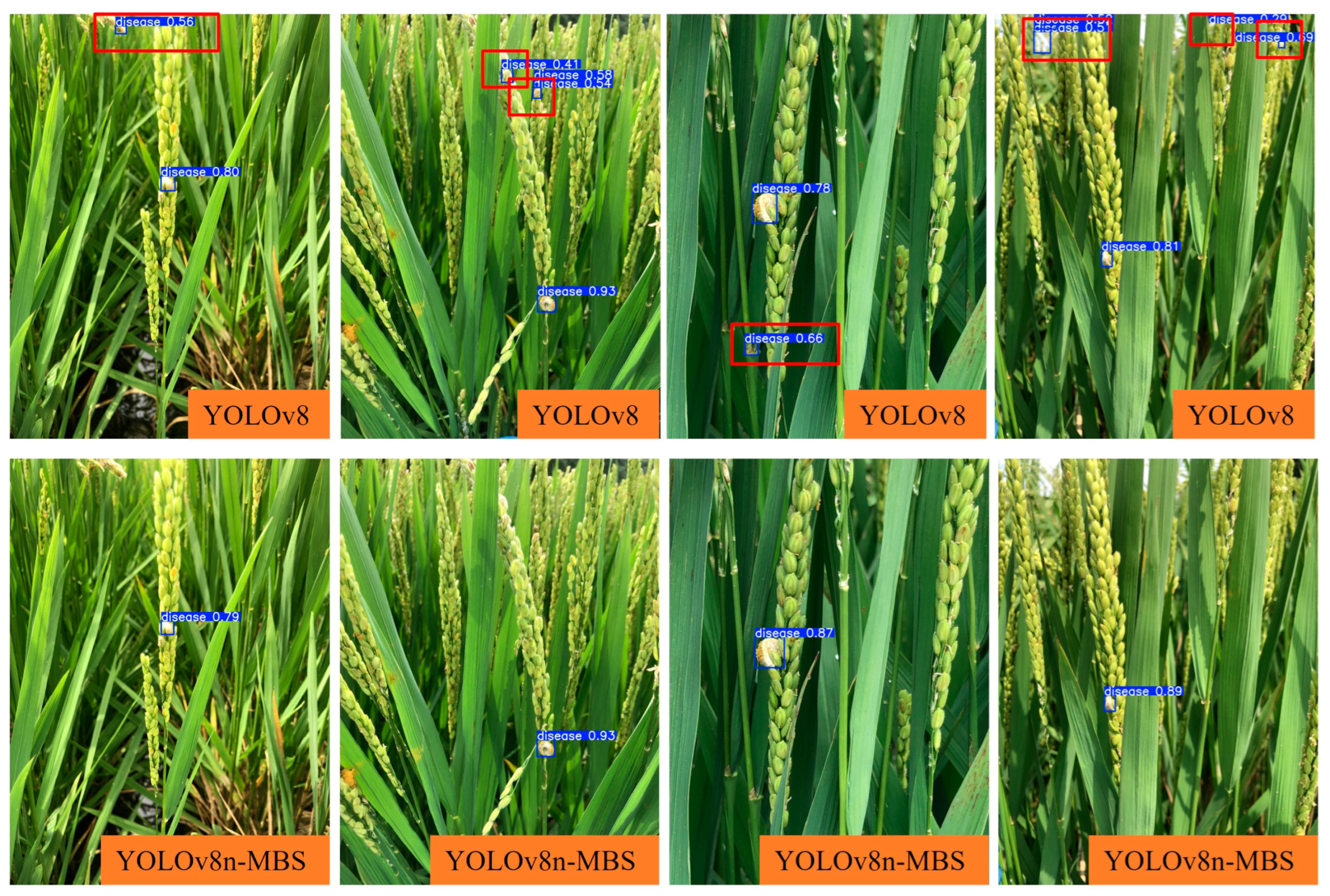 Agronomy 14 01934 g012