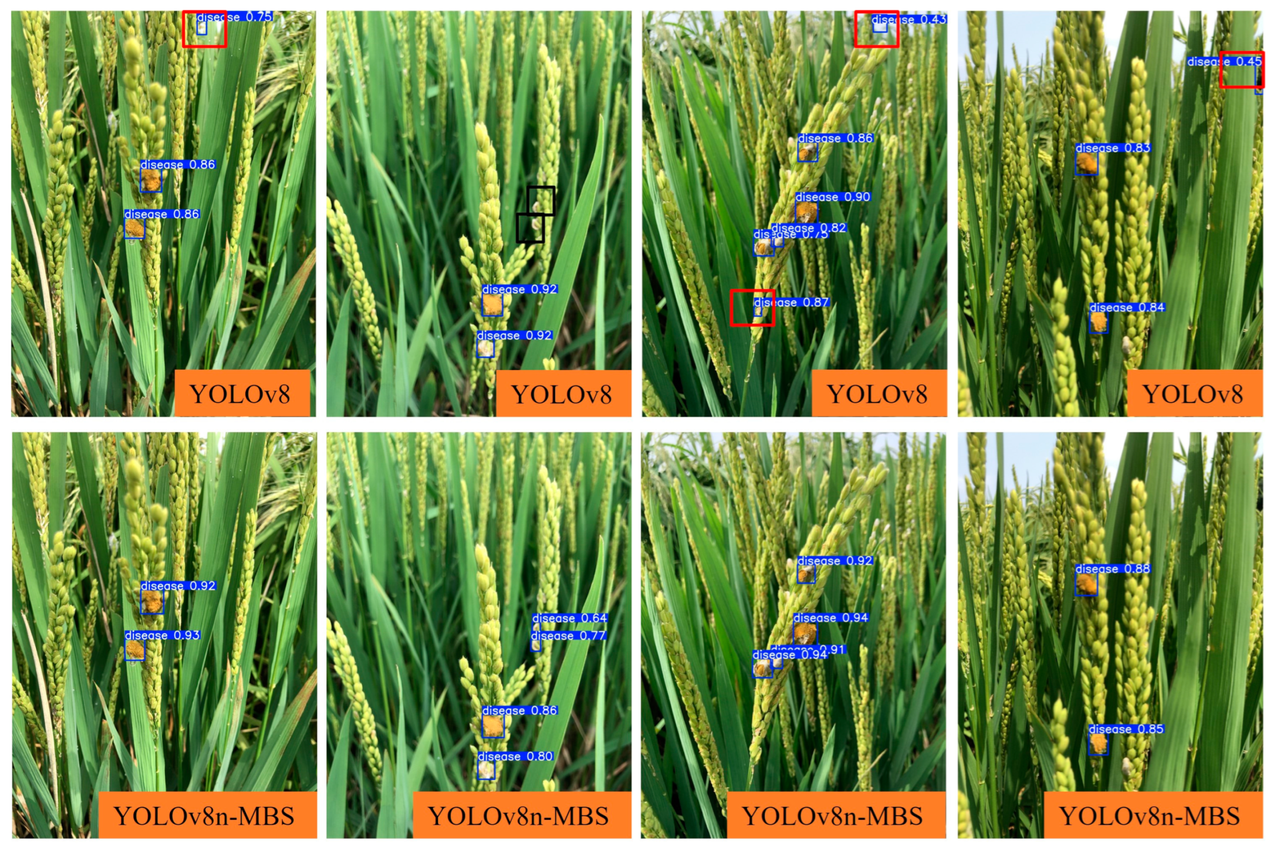 Agronomy 14 01934 g013