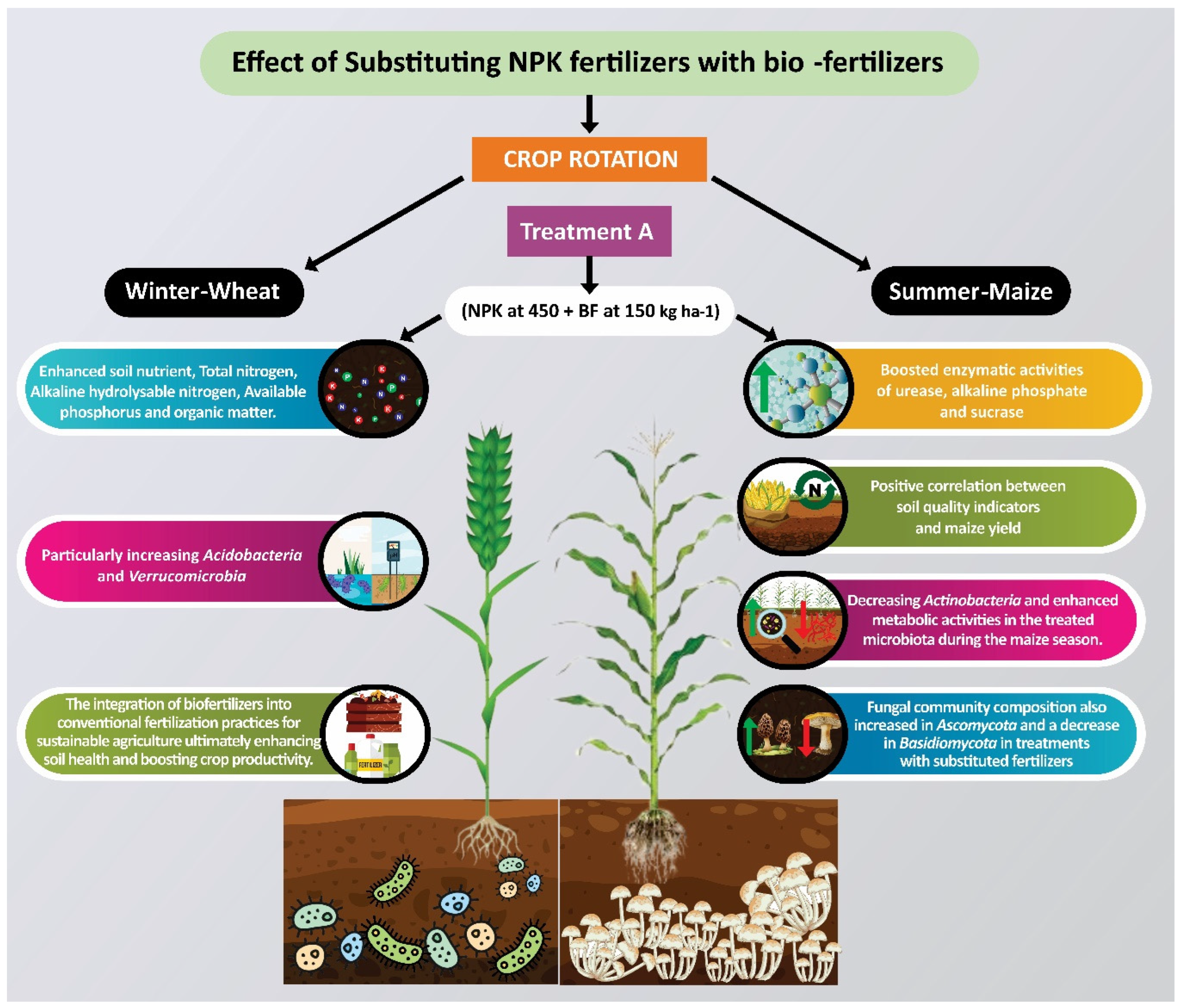 Agronomy 14 01942 g008