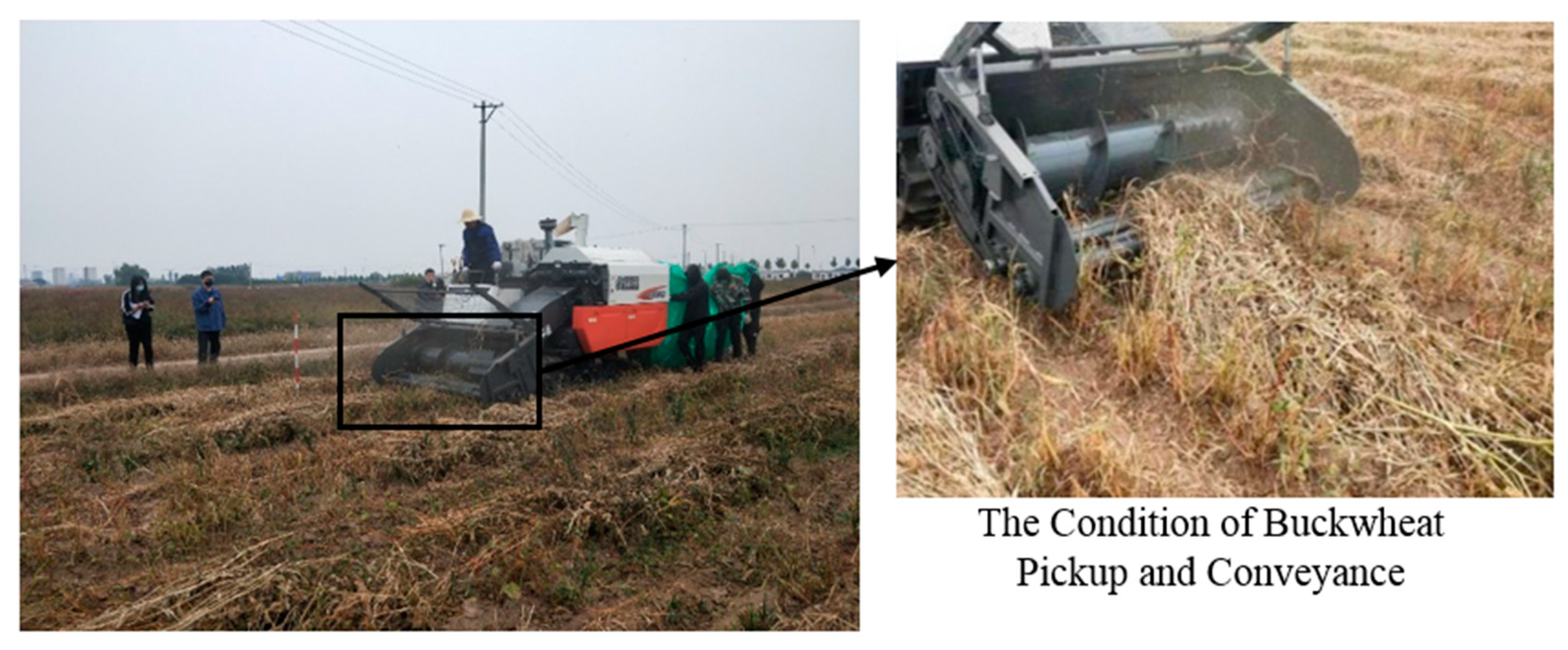 Agronomy 14 01944 g010