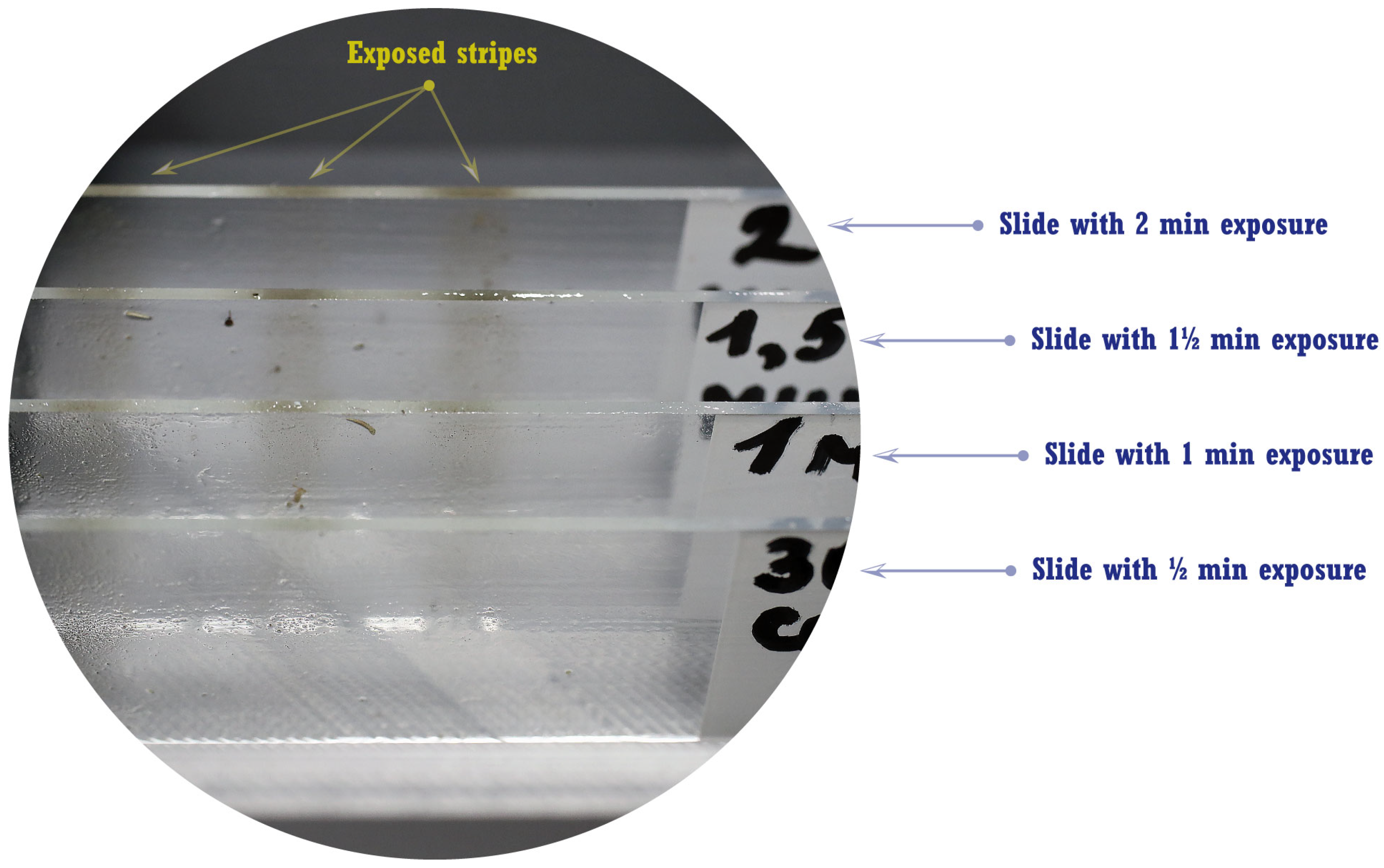 Agronomy 14 01945 g002