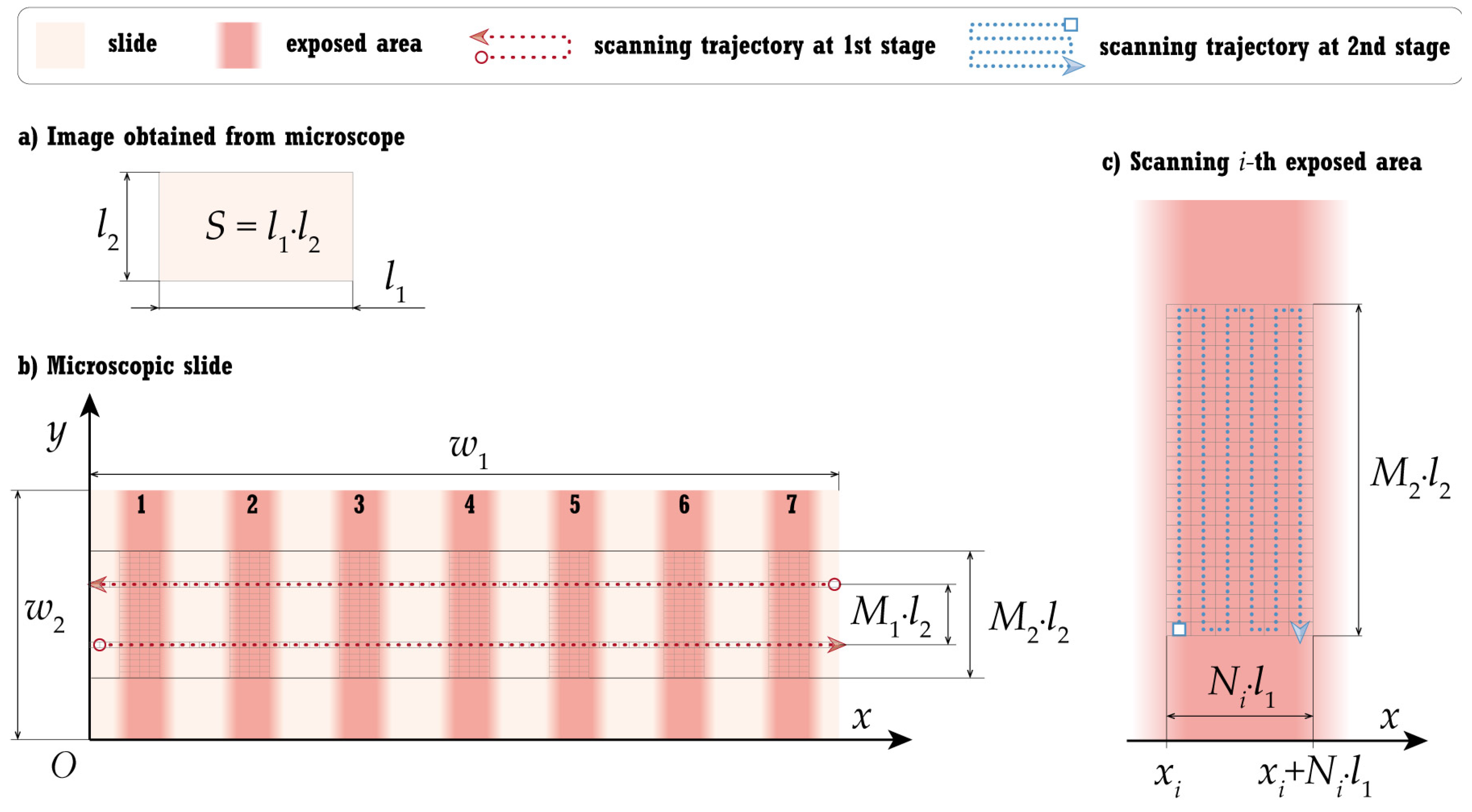 Agronomy 14 01945 g004