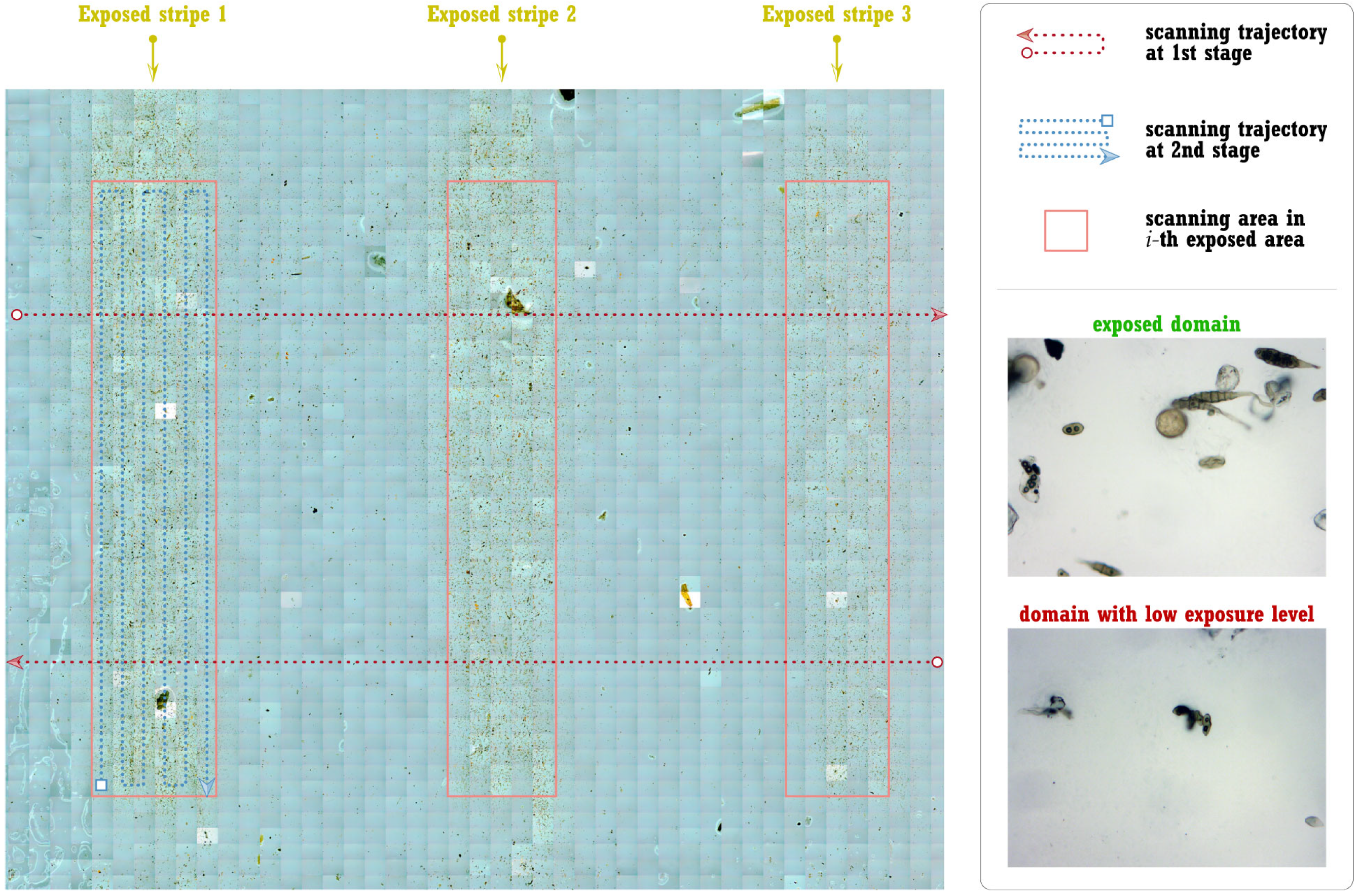 Agronomy 14 01945 g008