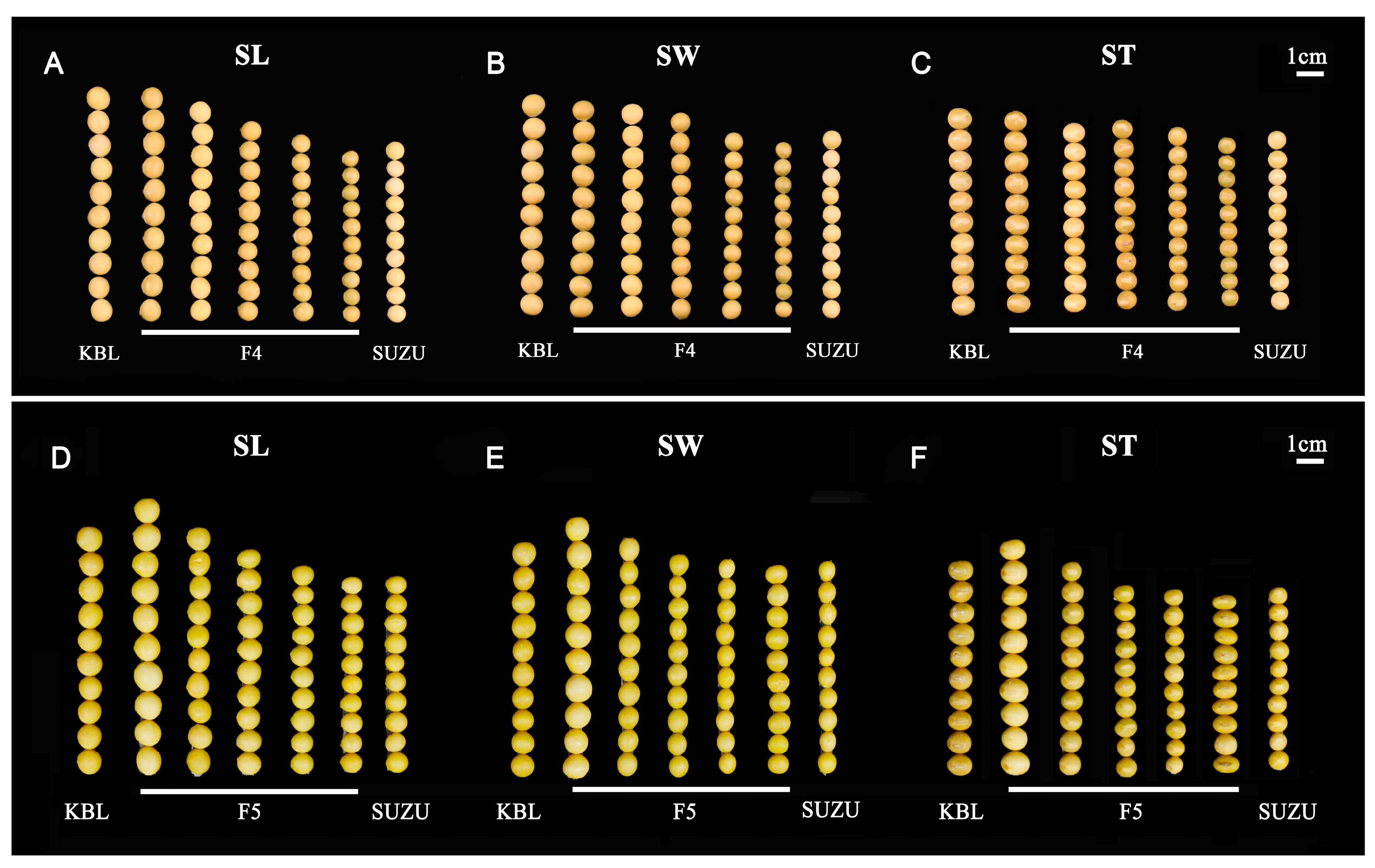 Agronomy 14 01957 g001