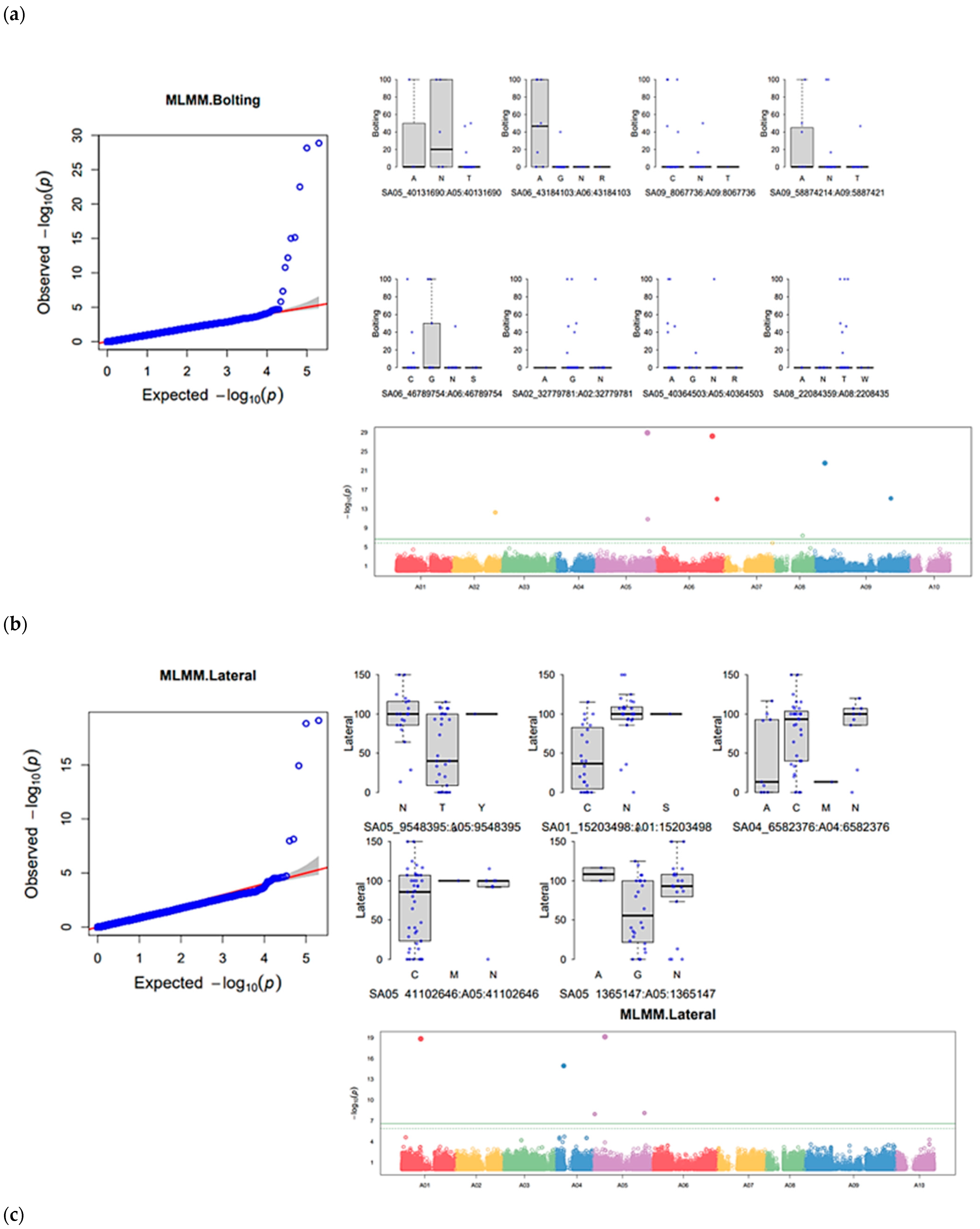 Agronomy 14 01960 g007a