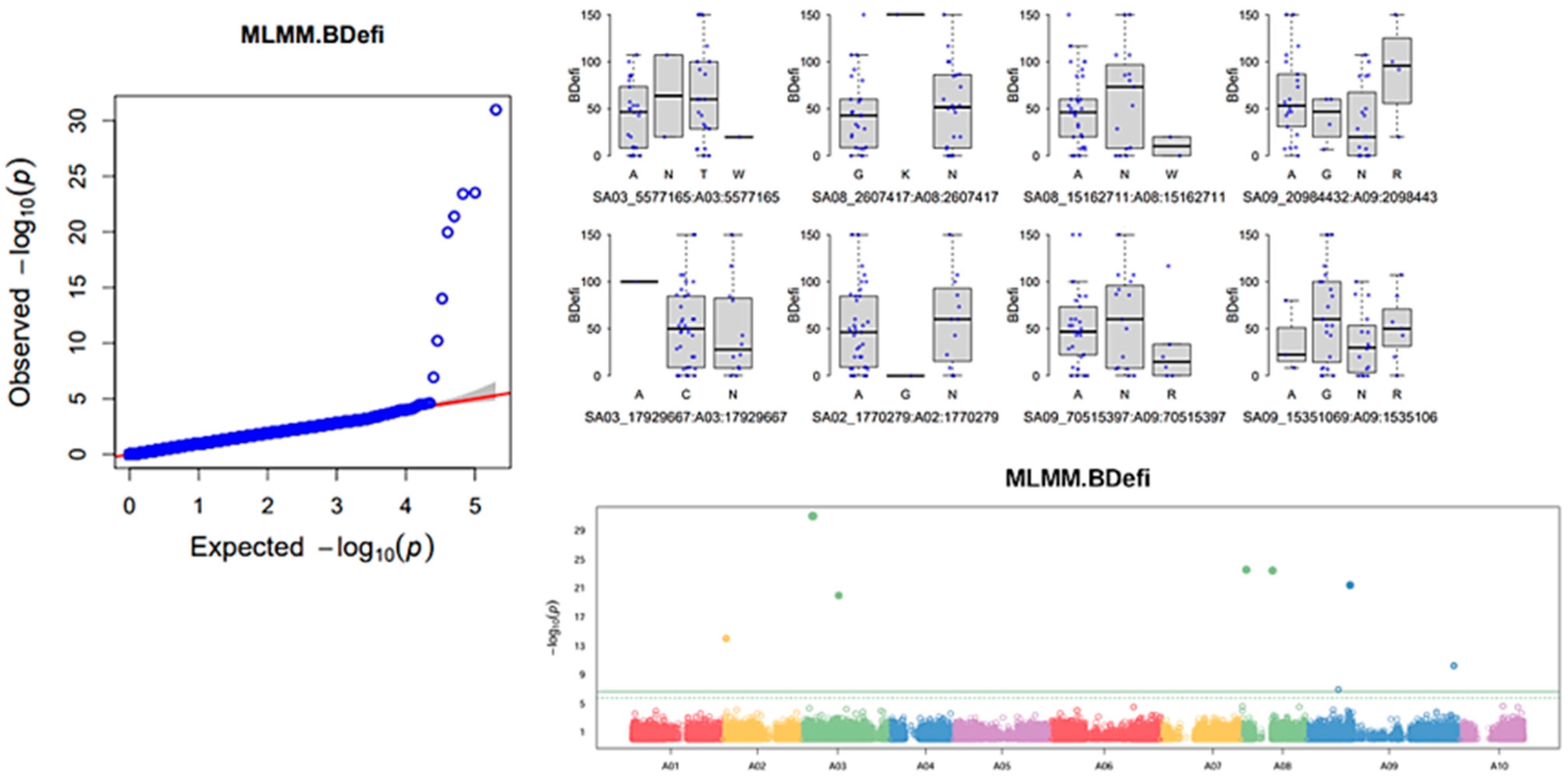 Agronomy 14 01960 g007c