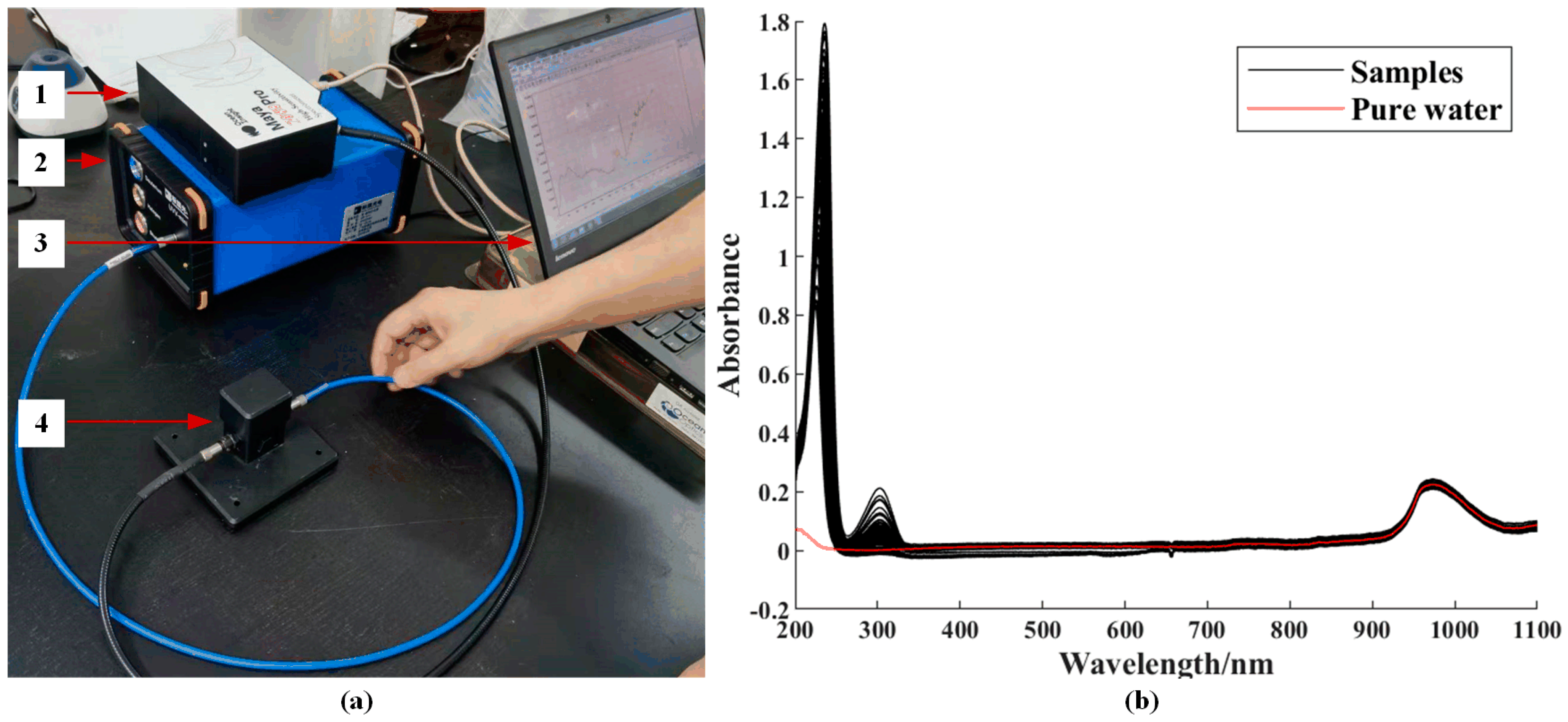 Agronomy 14 01974 g001