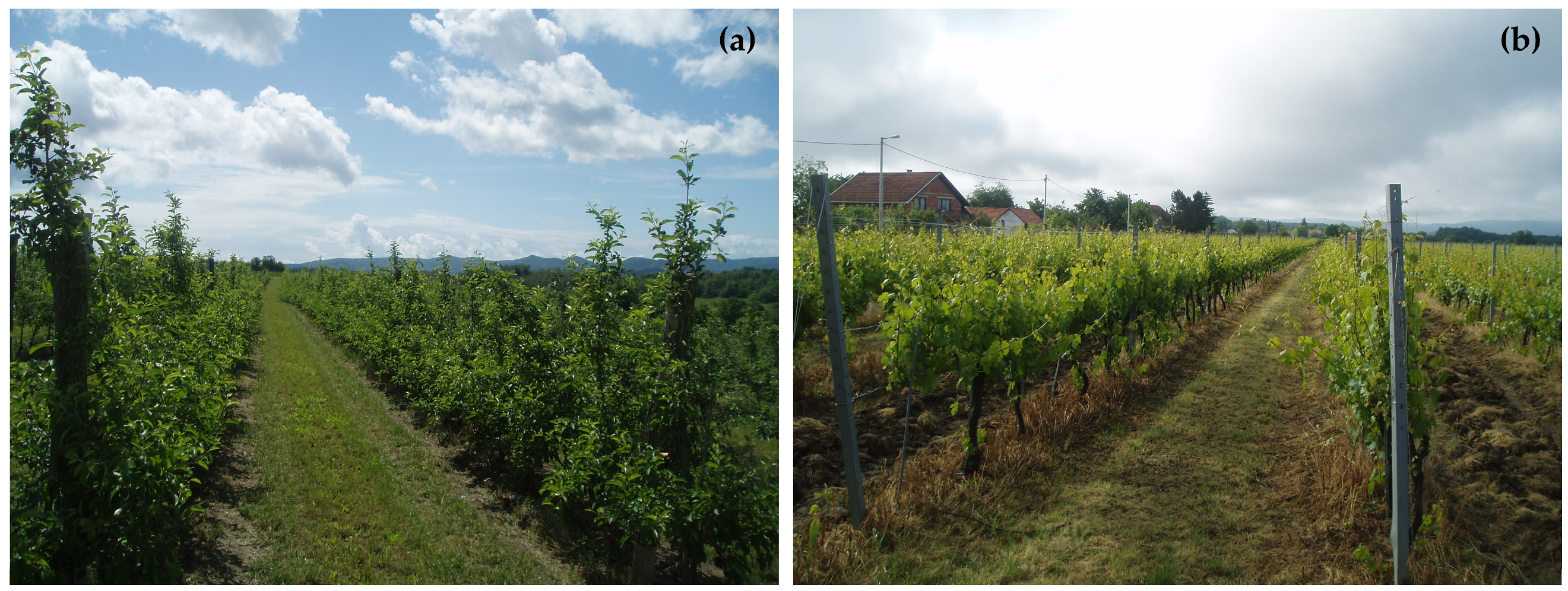 Agronomy 14 01977 g002