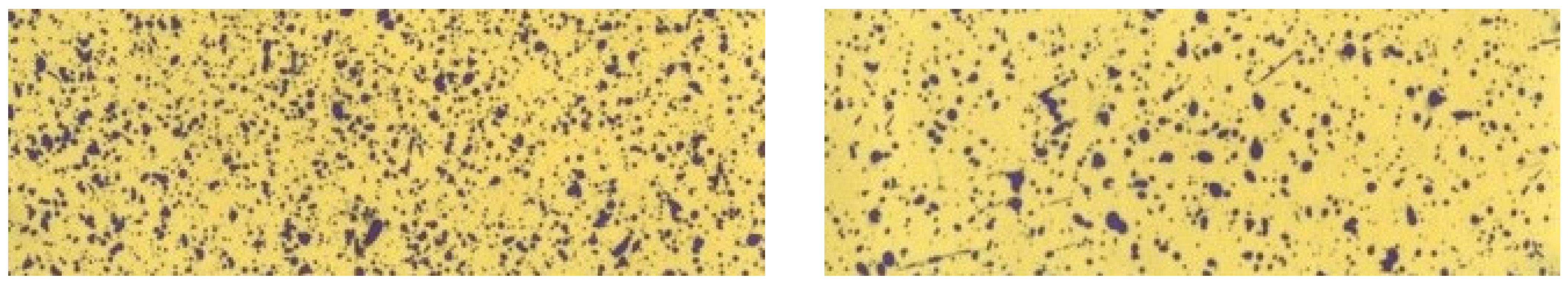 Agronomy 14 01977 g004