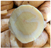 Agronomy 14 01981 i005