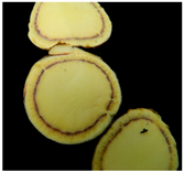 Agronomy 14 01981 i006