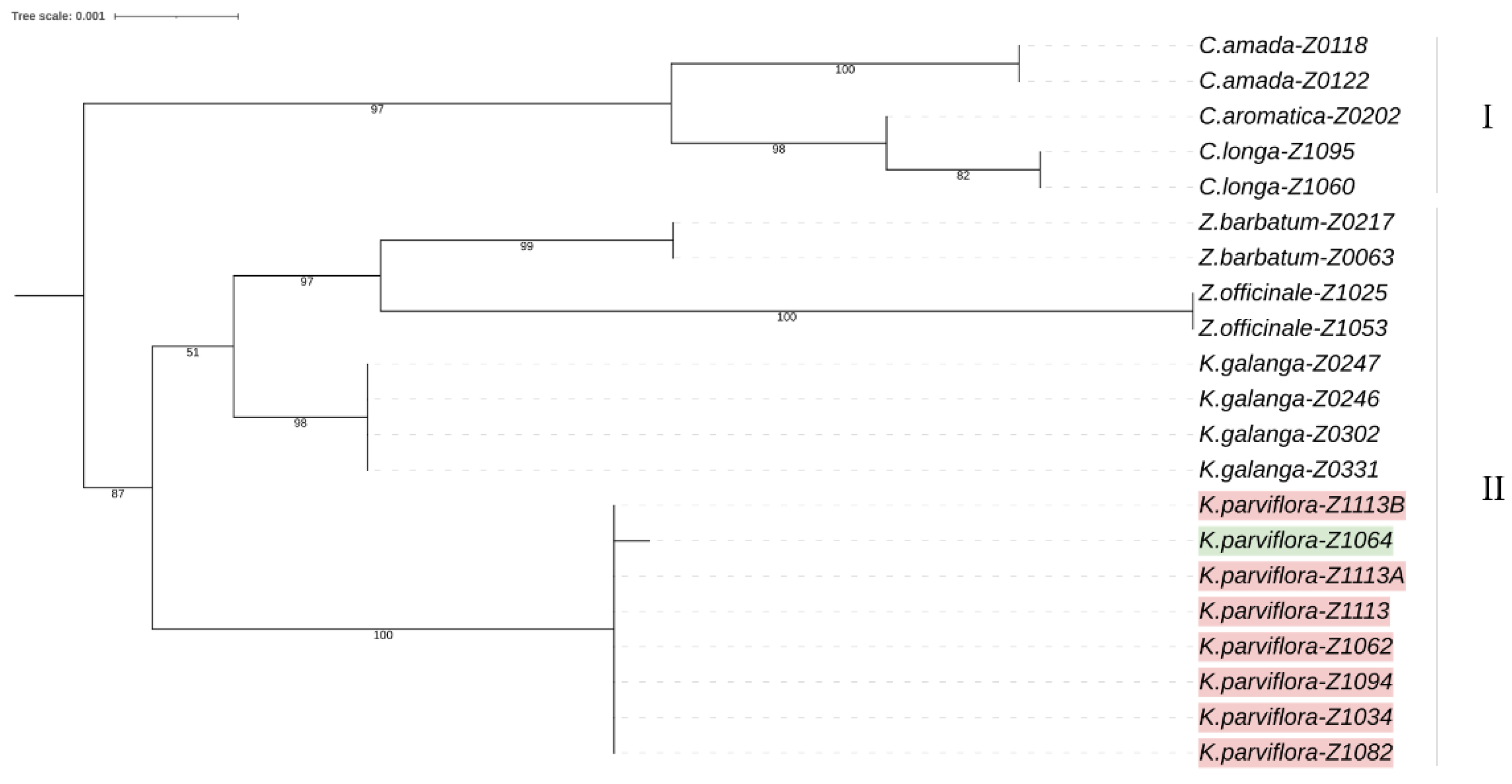 Agronomy 14 01984 g001