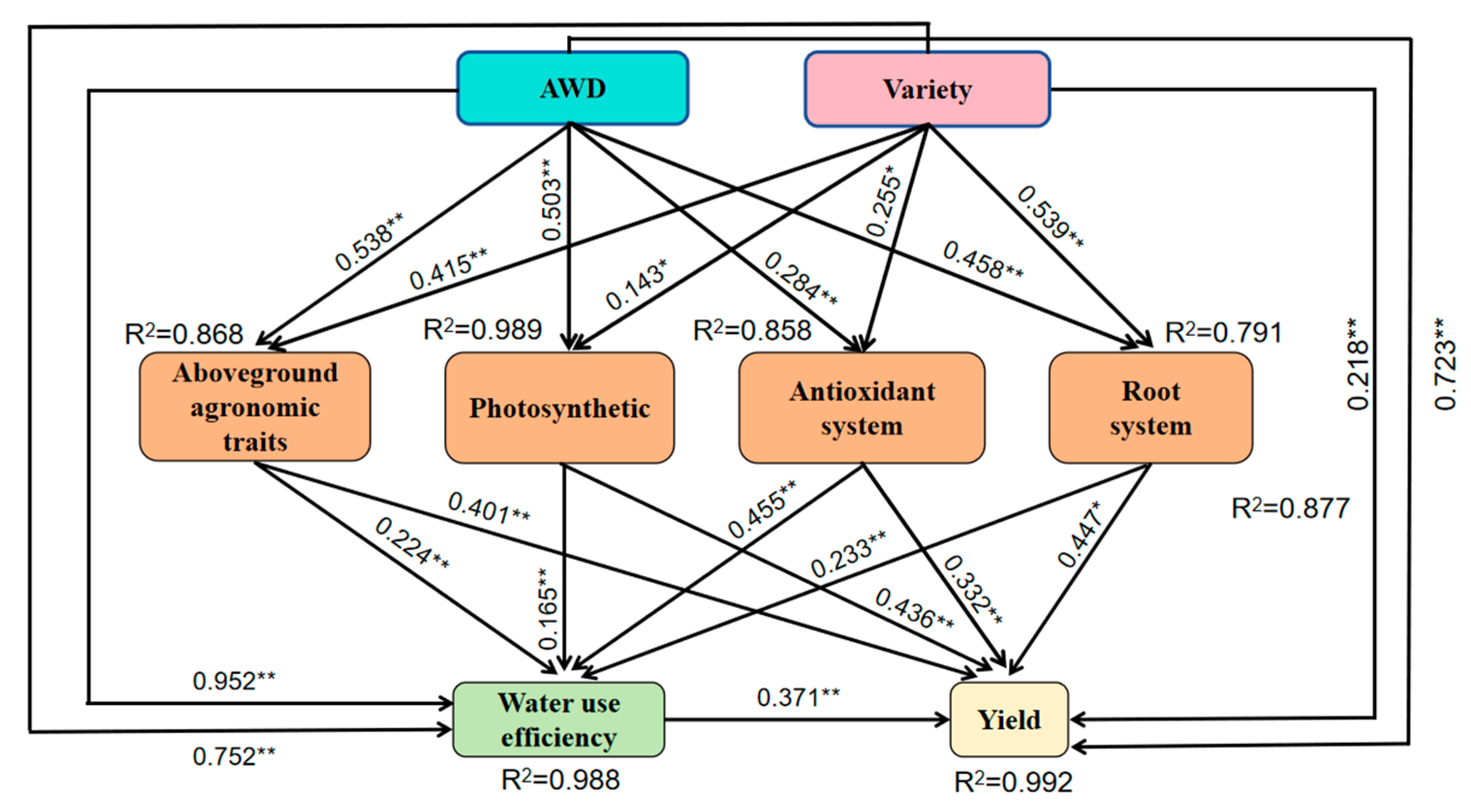 Agronomy 14 01986 g004