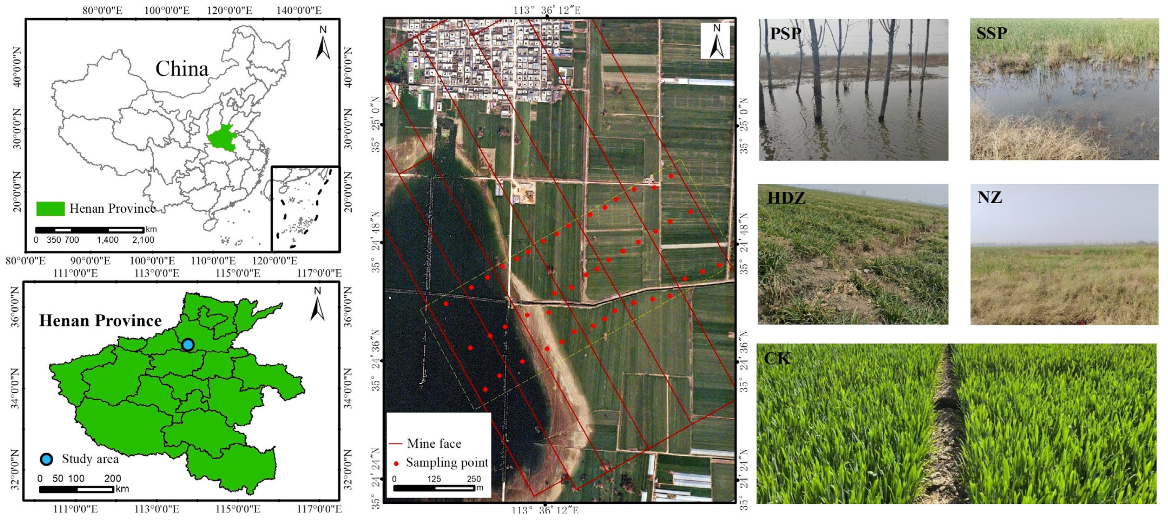 Agronomy 14 01993 g001
