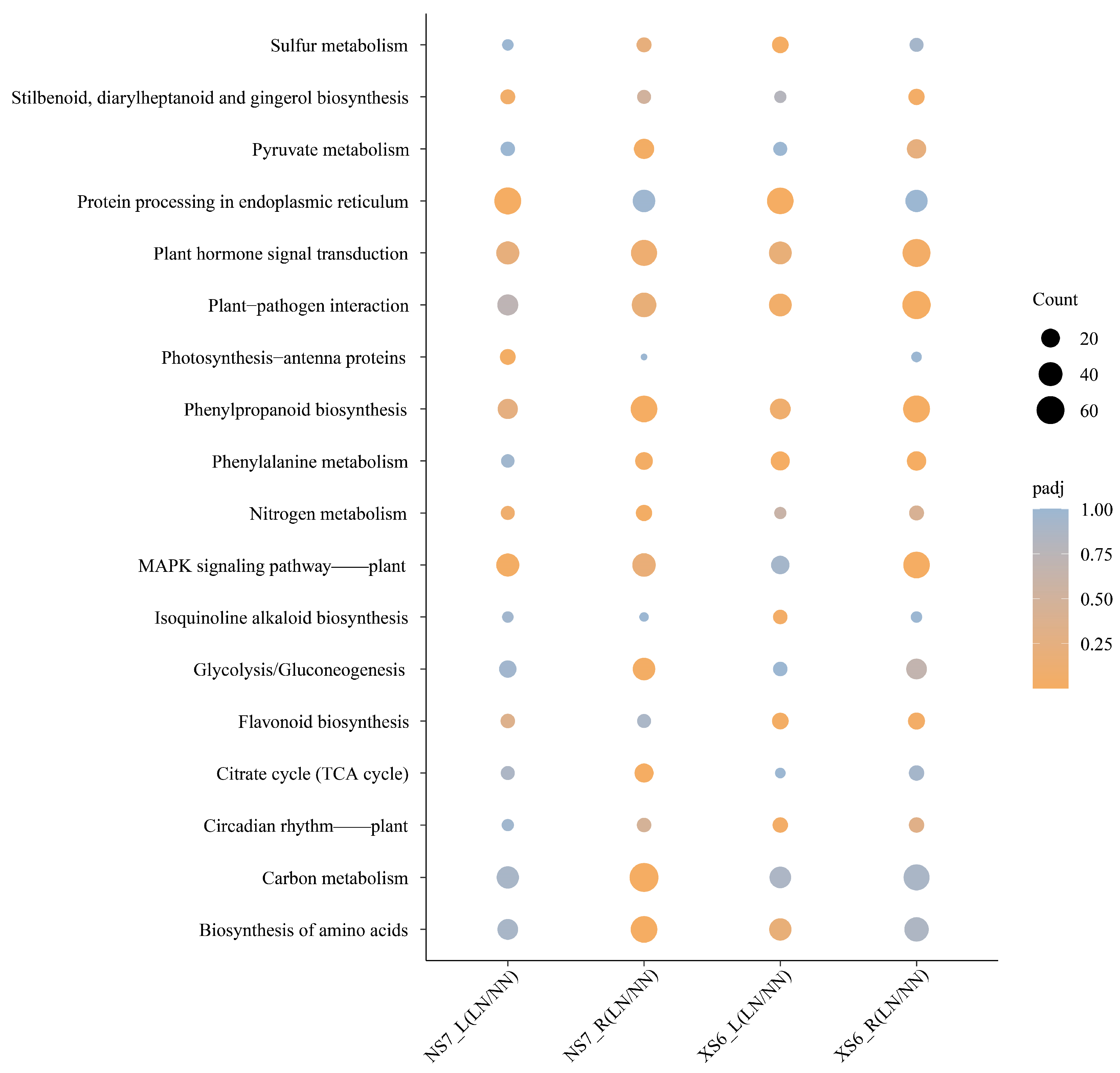 Agronomy 14 02000 g004