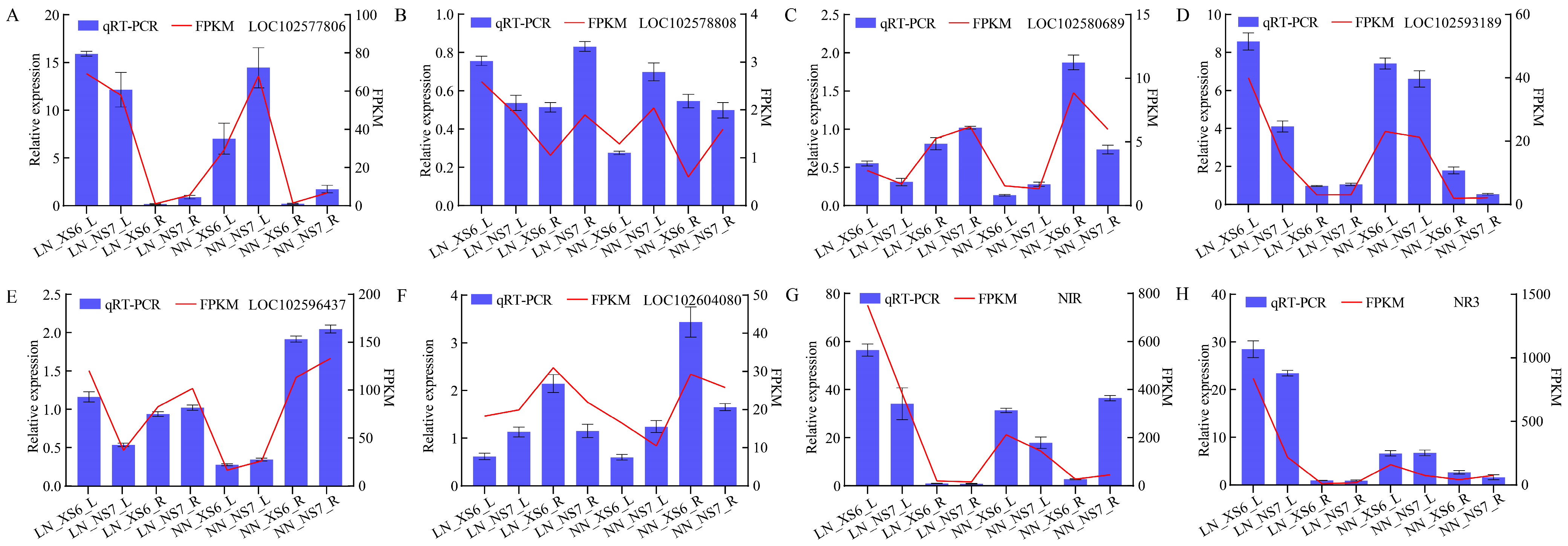 Agronomy 14 02000 g010
