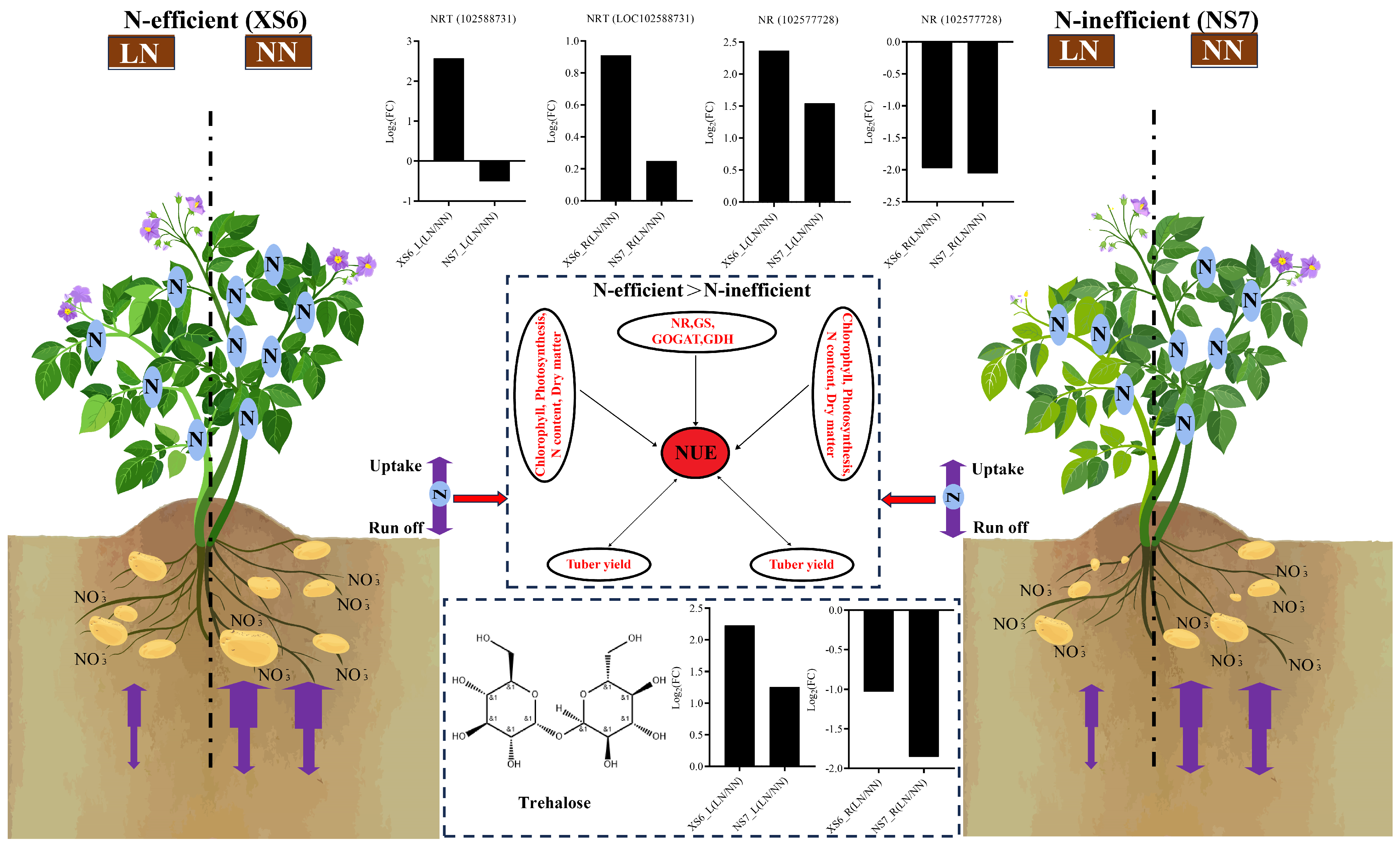 Agronomy 14 02000 g011