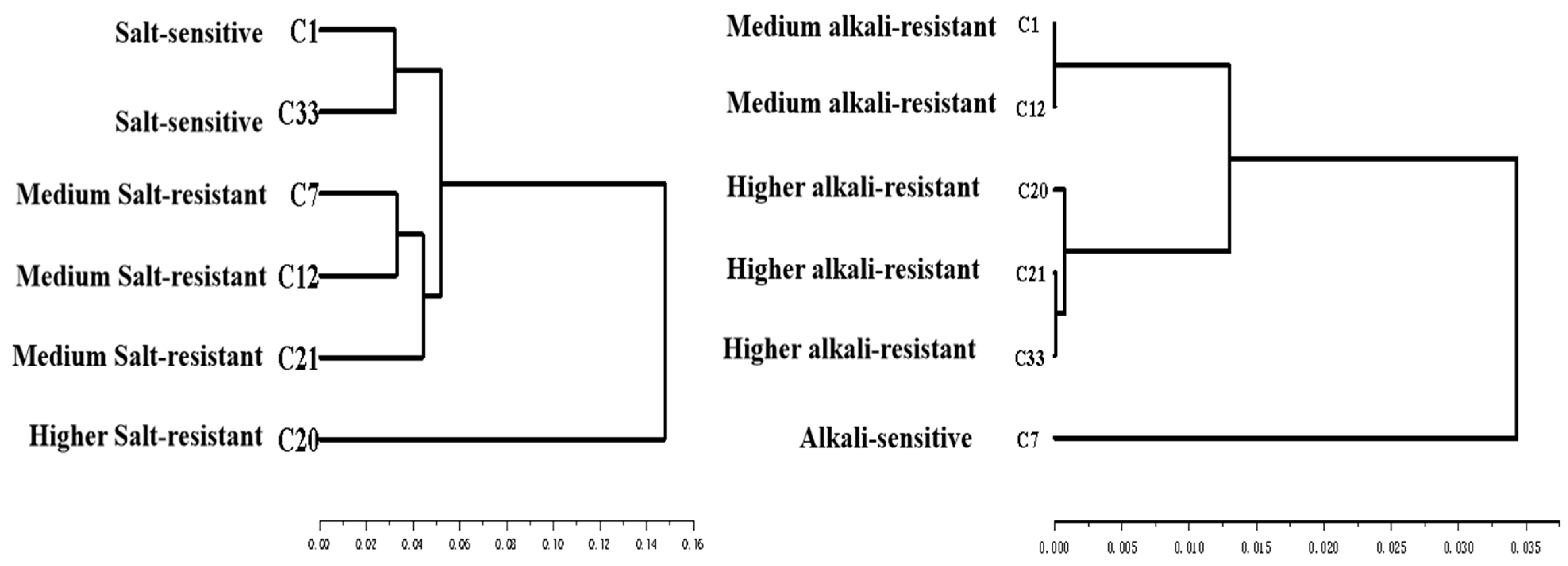 Agronomy 14 02023 g006