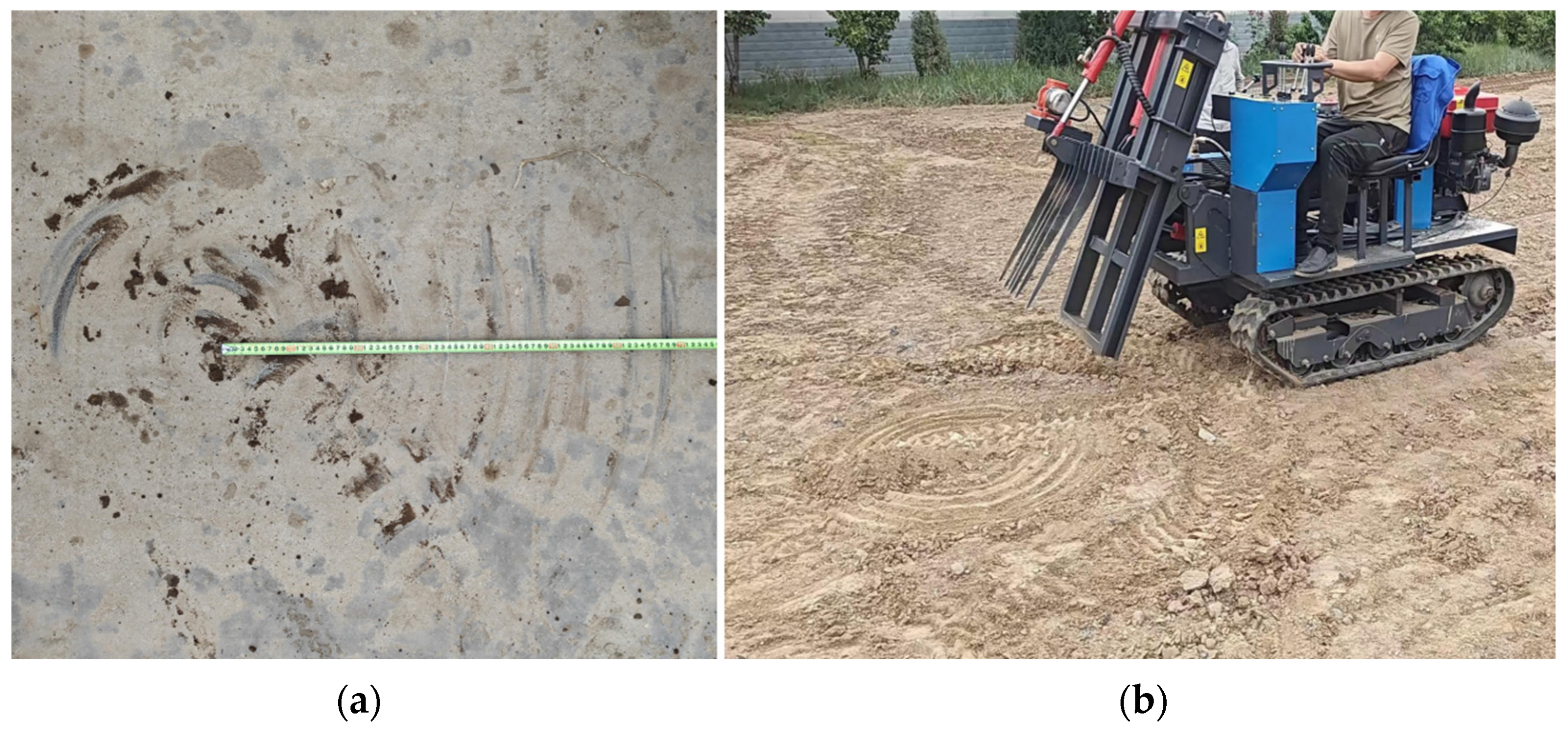 Agronomy 14 02024 g008