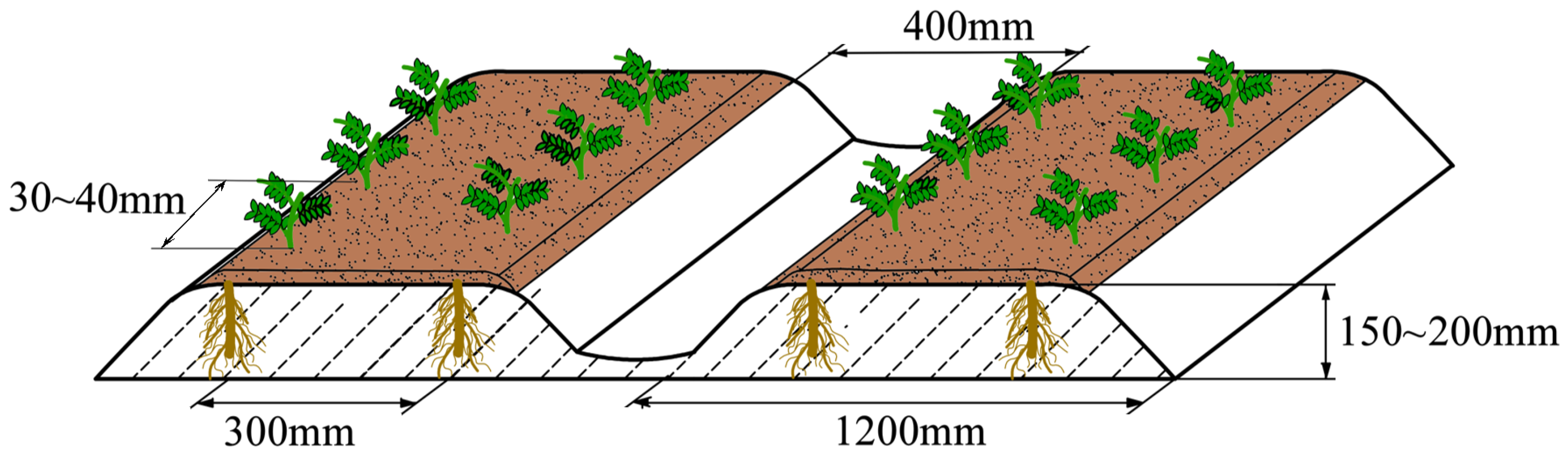 Agronomy 14 02024 g019