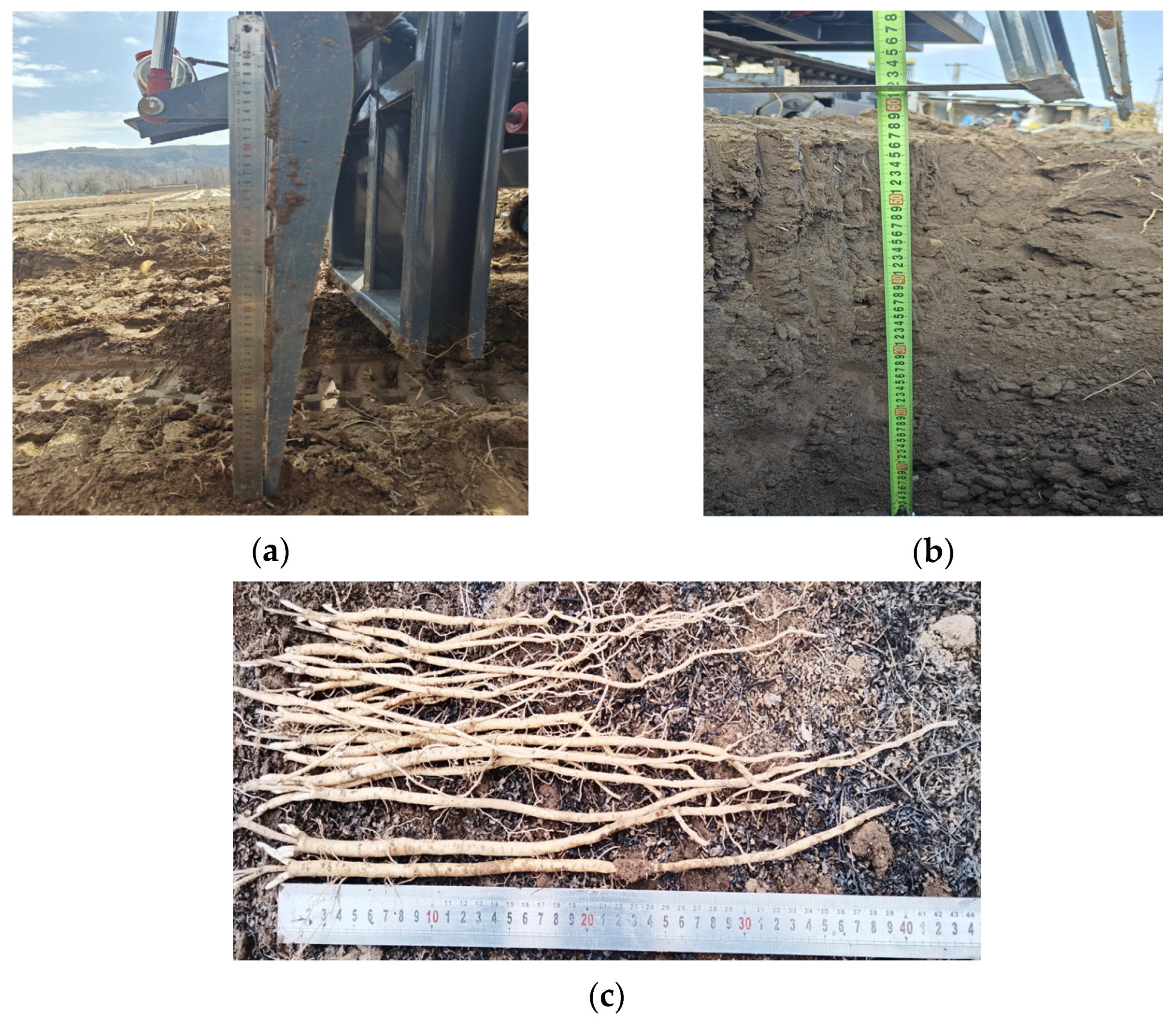 Agronomy 14 02024 g021