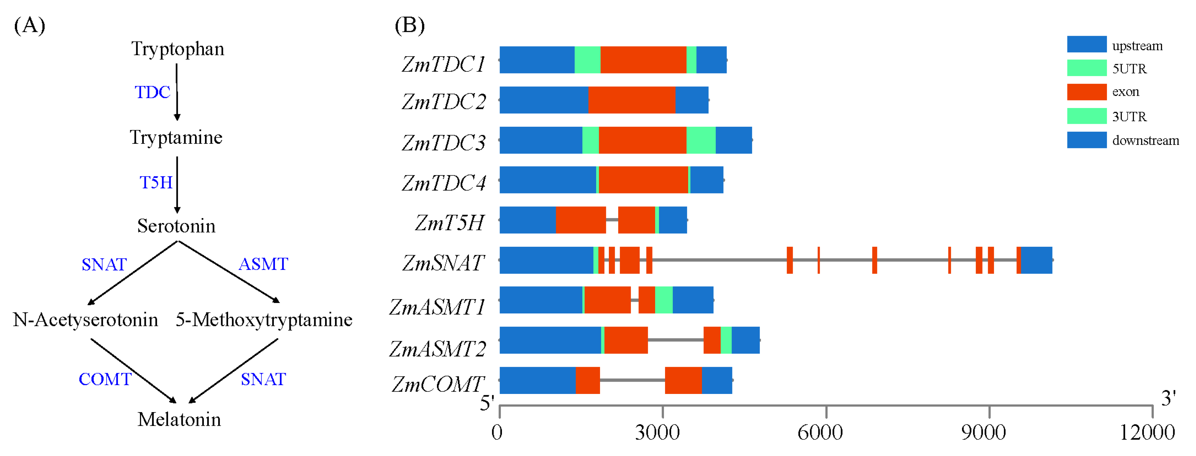 Agronomy 14 02031 g001