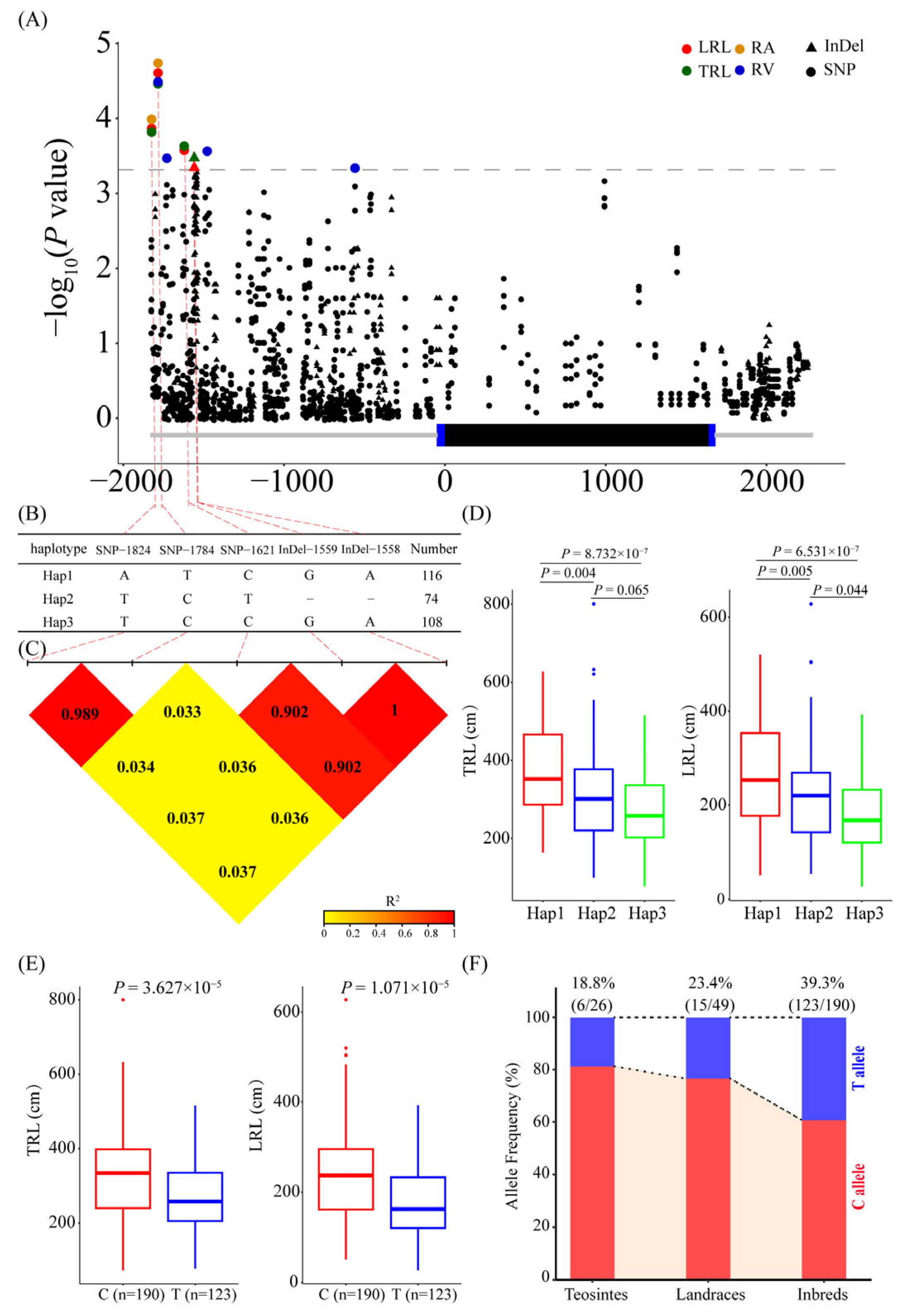 Agronomy 14 02031 g003
