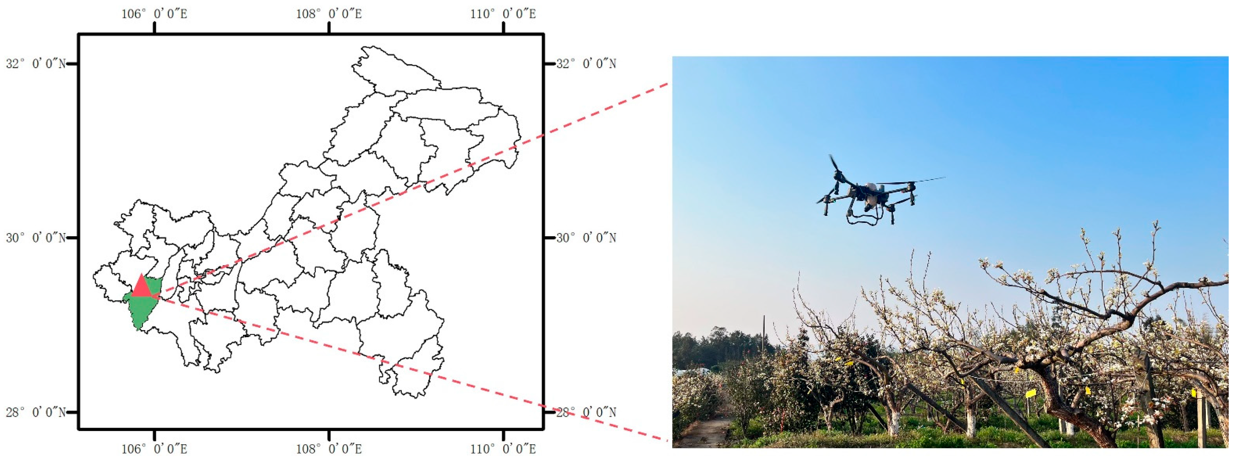 Agronomy 14 02033 g001