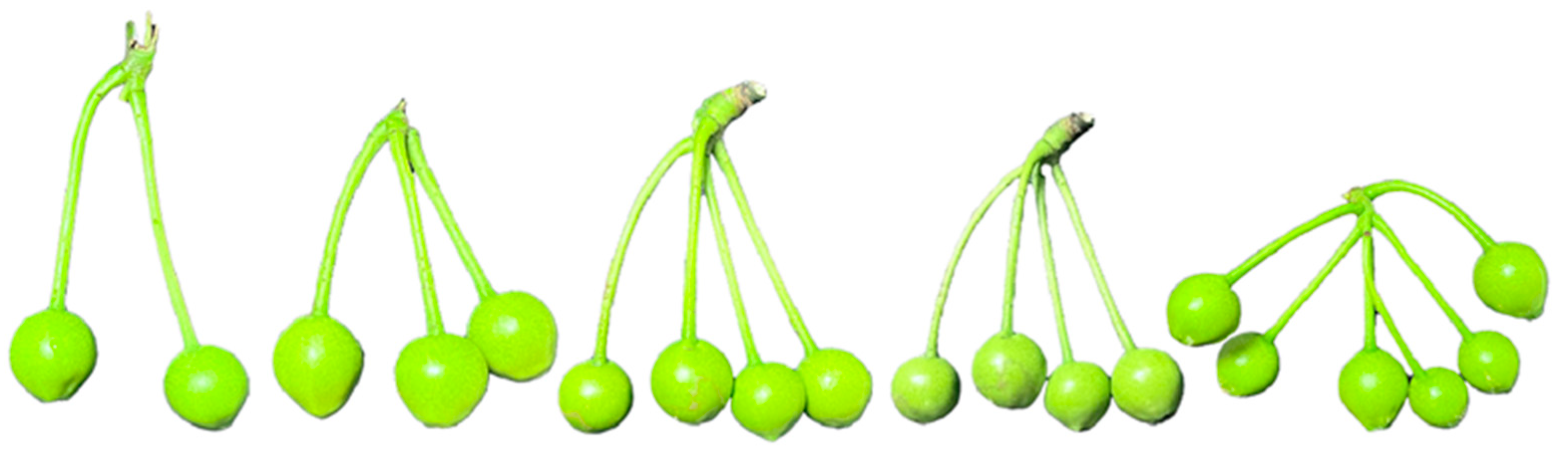 Agronomy 14 02033 g006