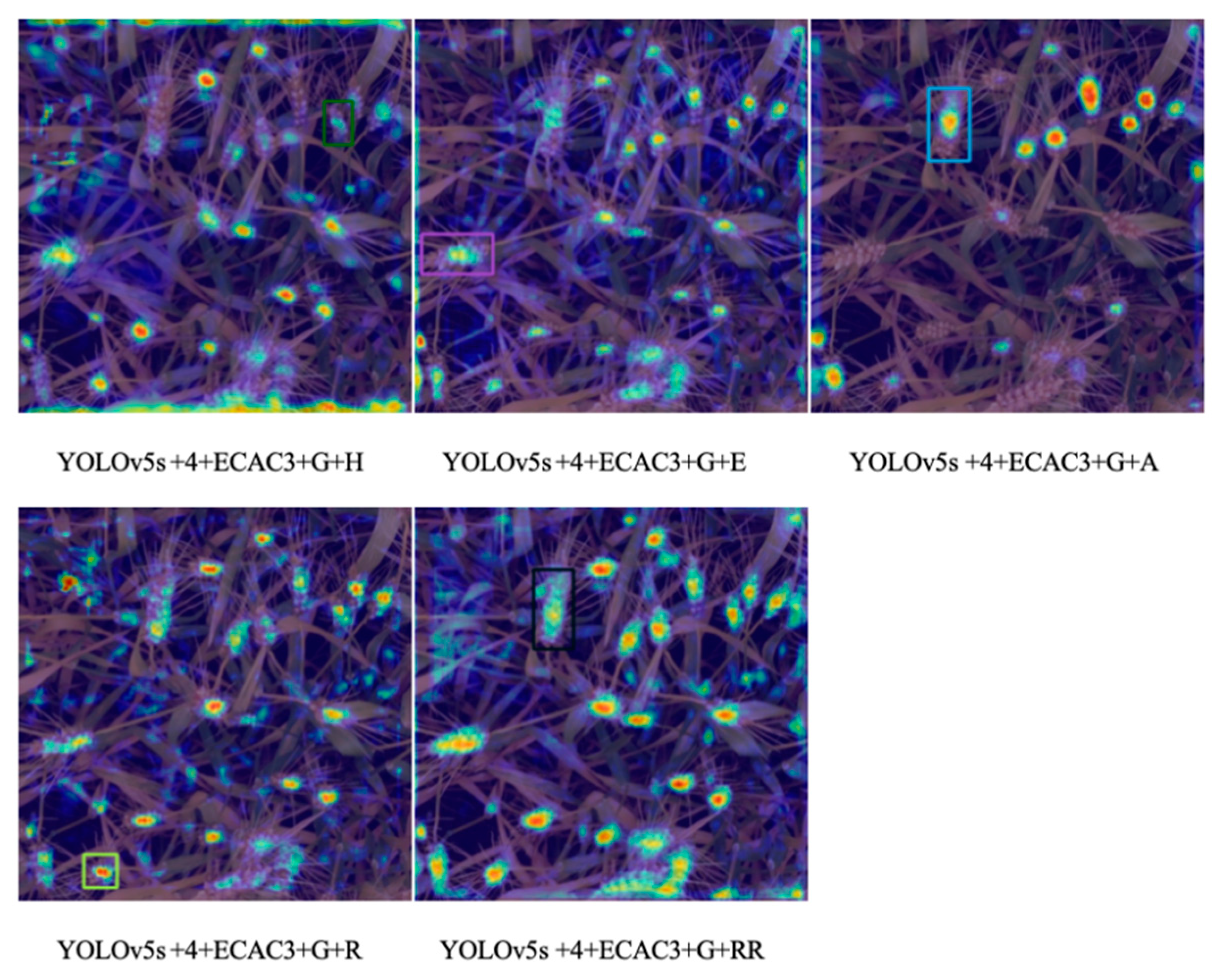 Agronomy 14 02036 g006