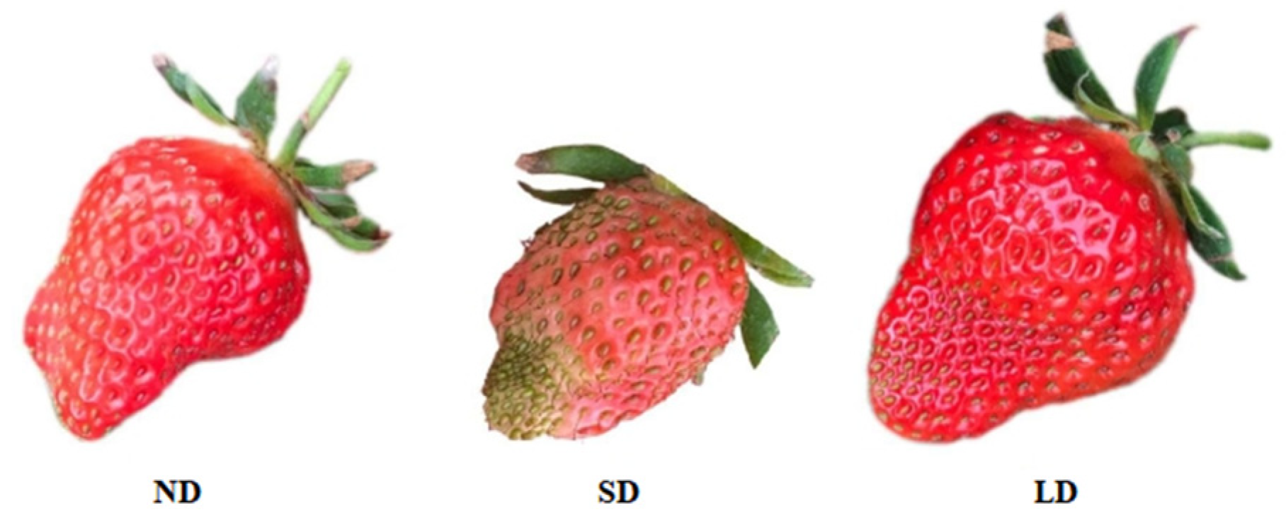 Agronomy 14 02039 g003