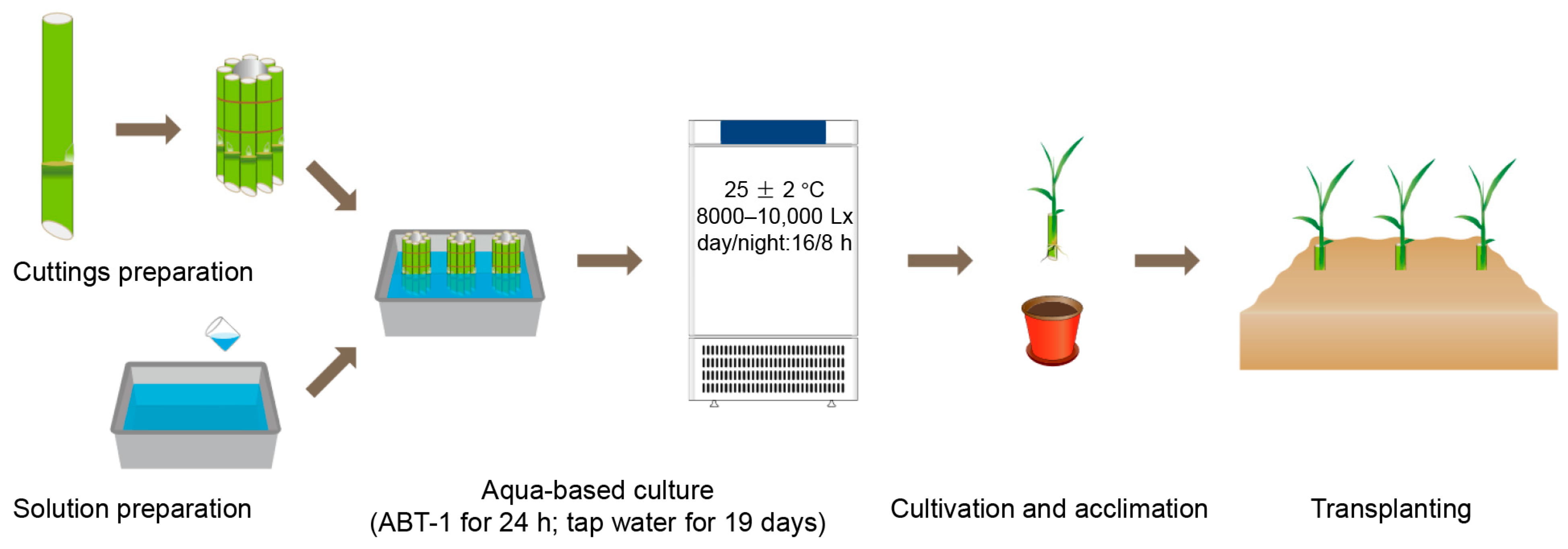 Agronomy 14 02047 g001