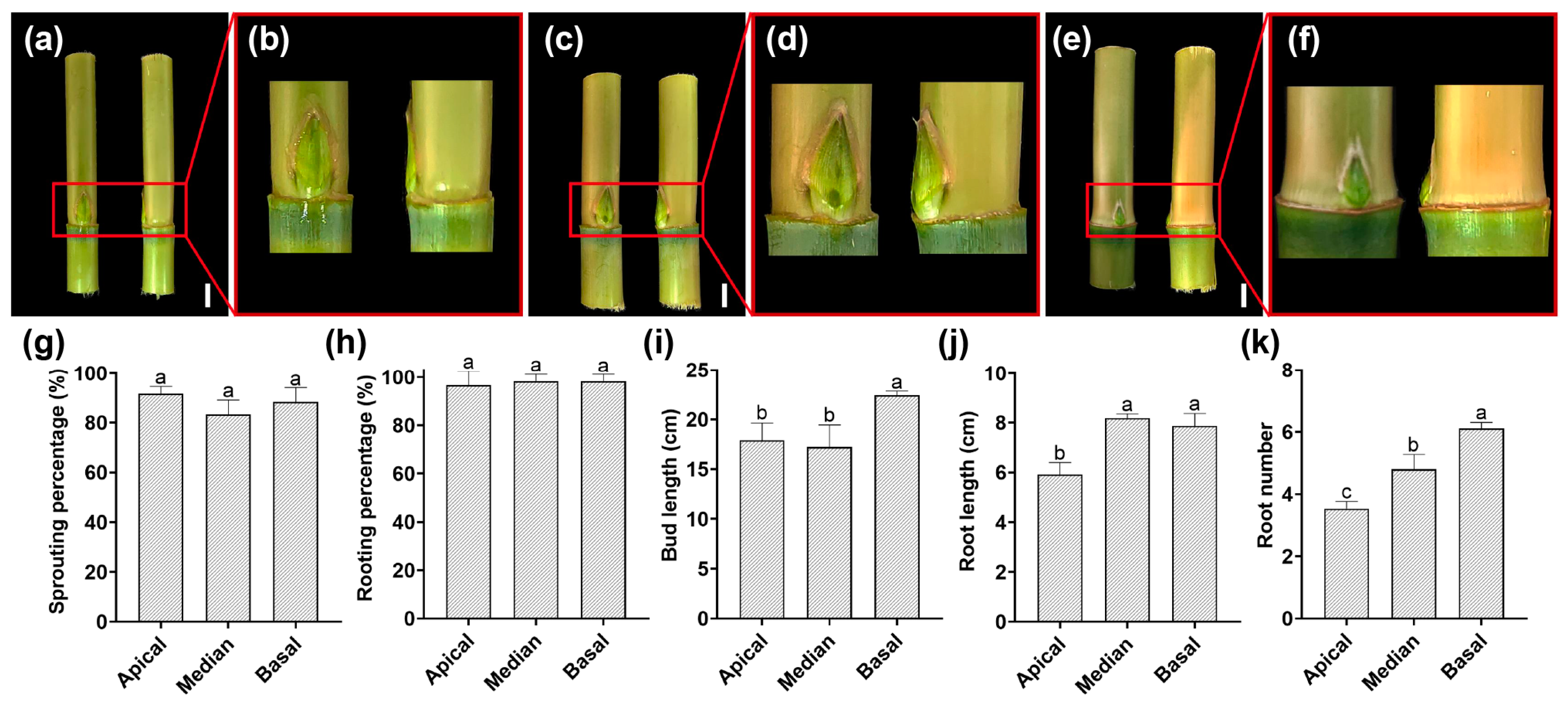 Agronomy 14 02047 g004