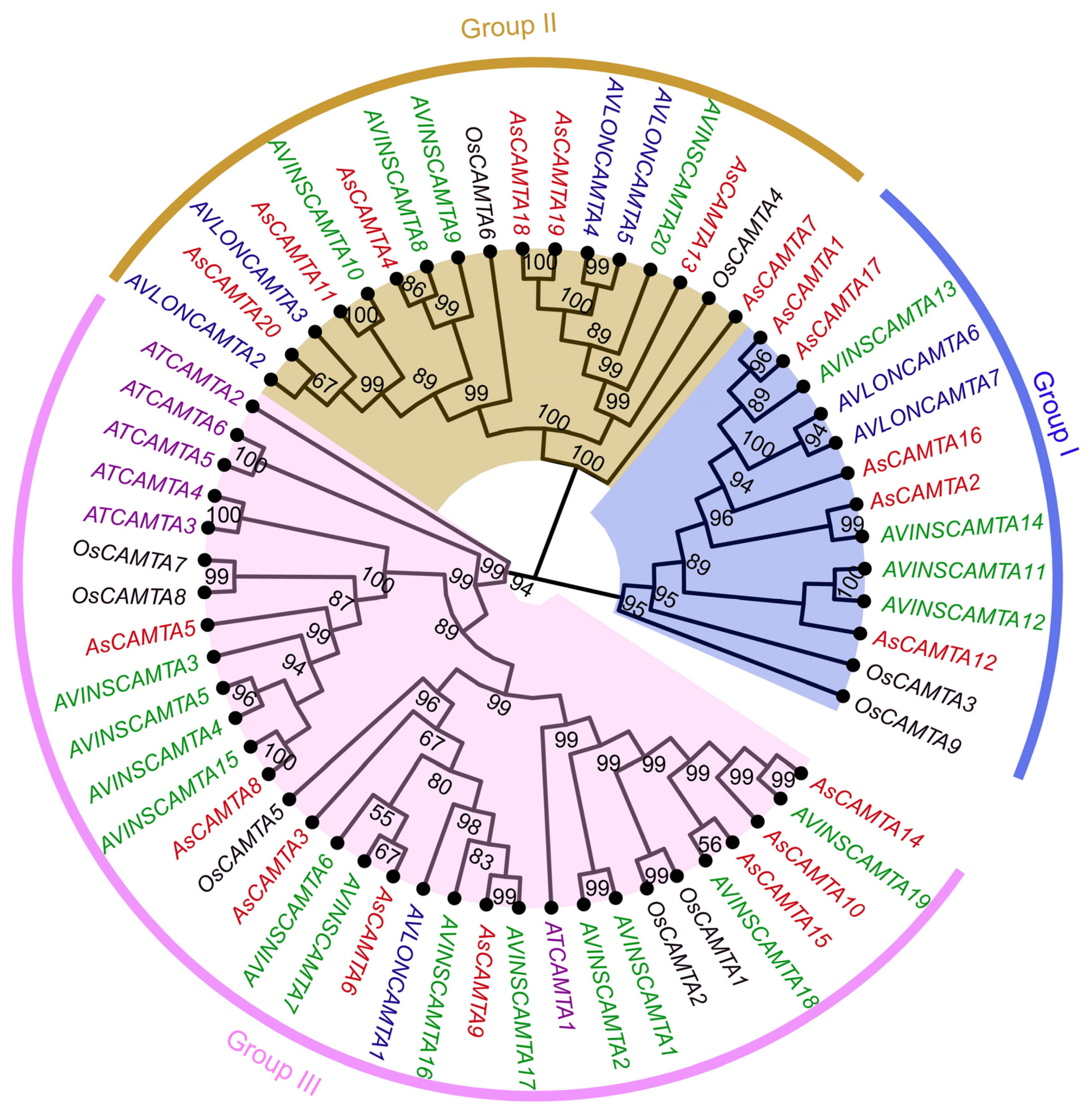 Agronomy 14 02053 g004