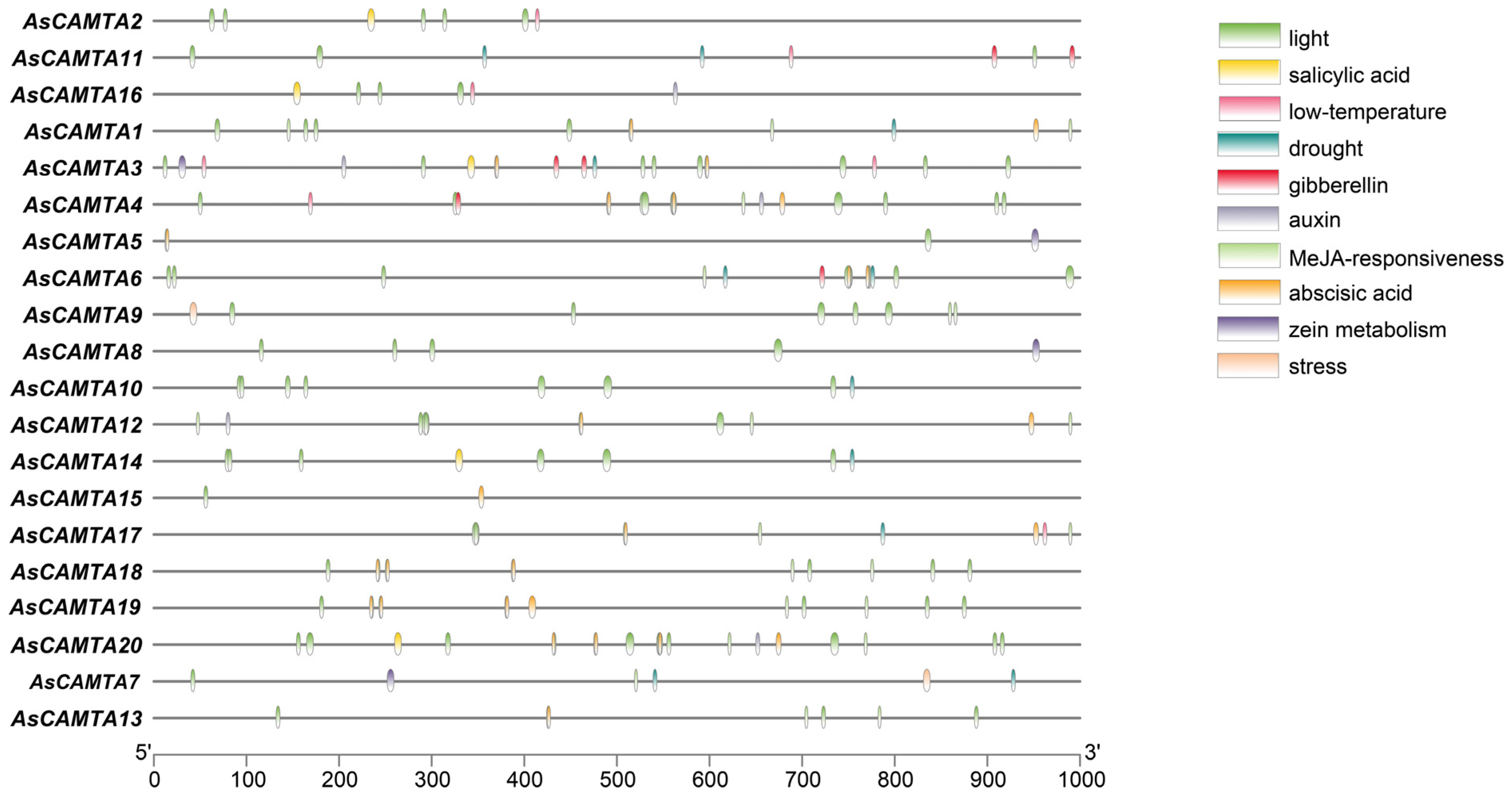 Agronomy 14 02053 g005