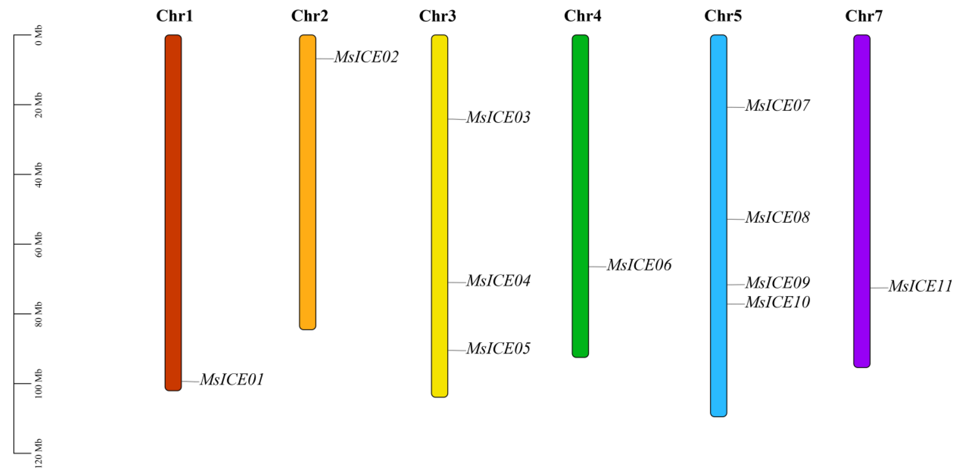 Agronomy 14 02064 g001
