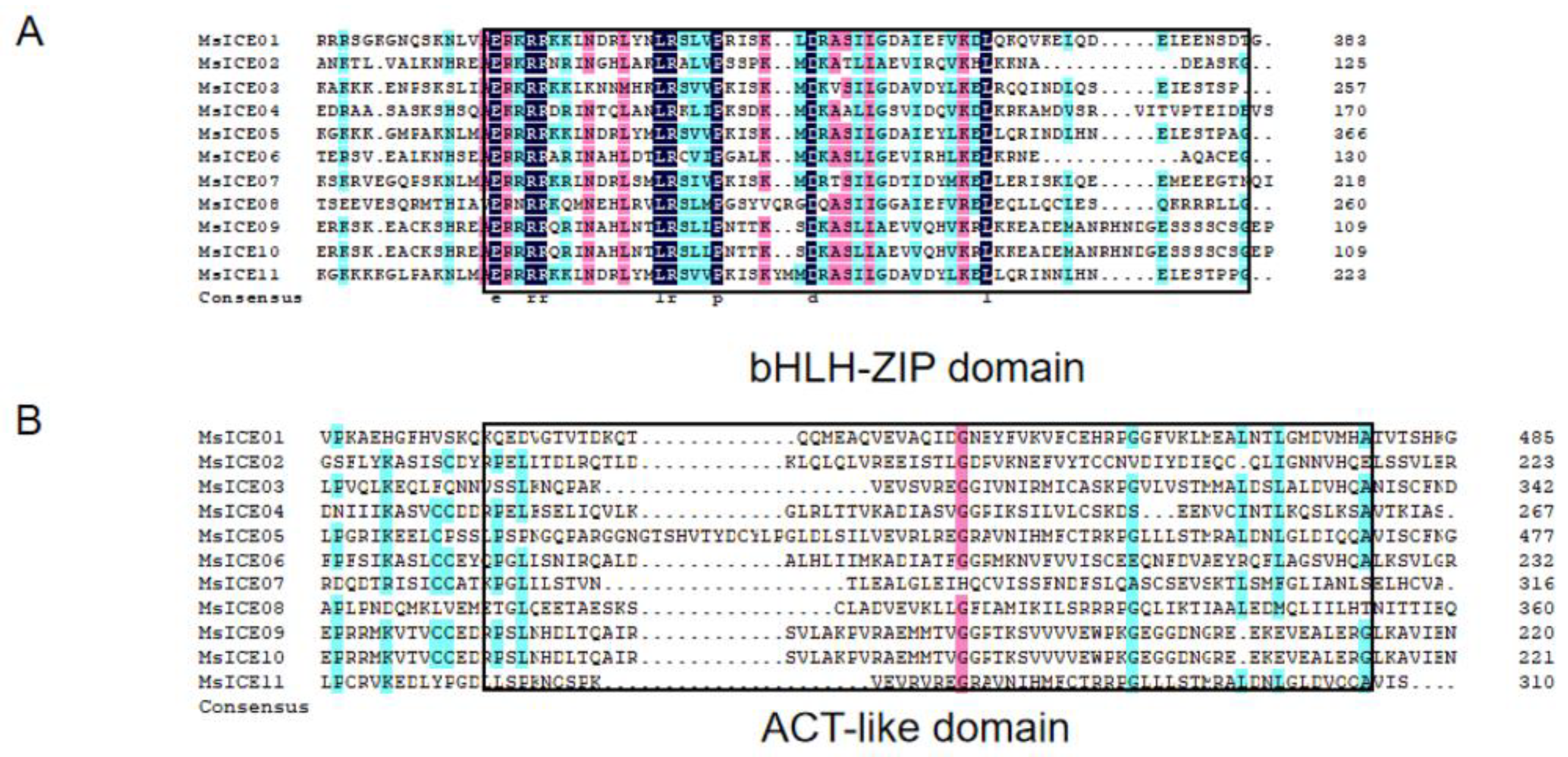 Agronomy 14 02064 g002